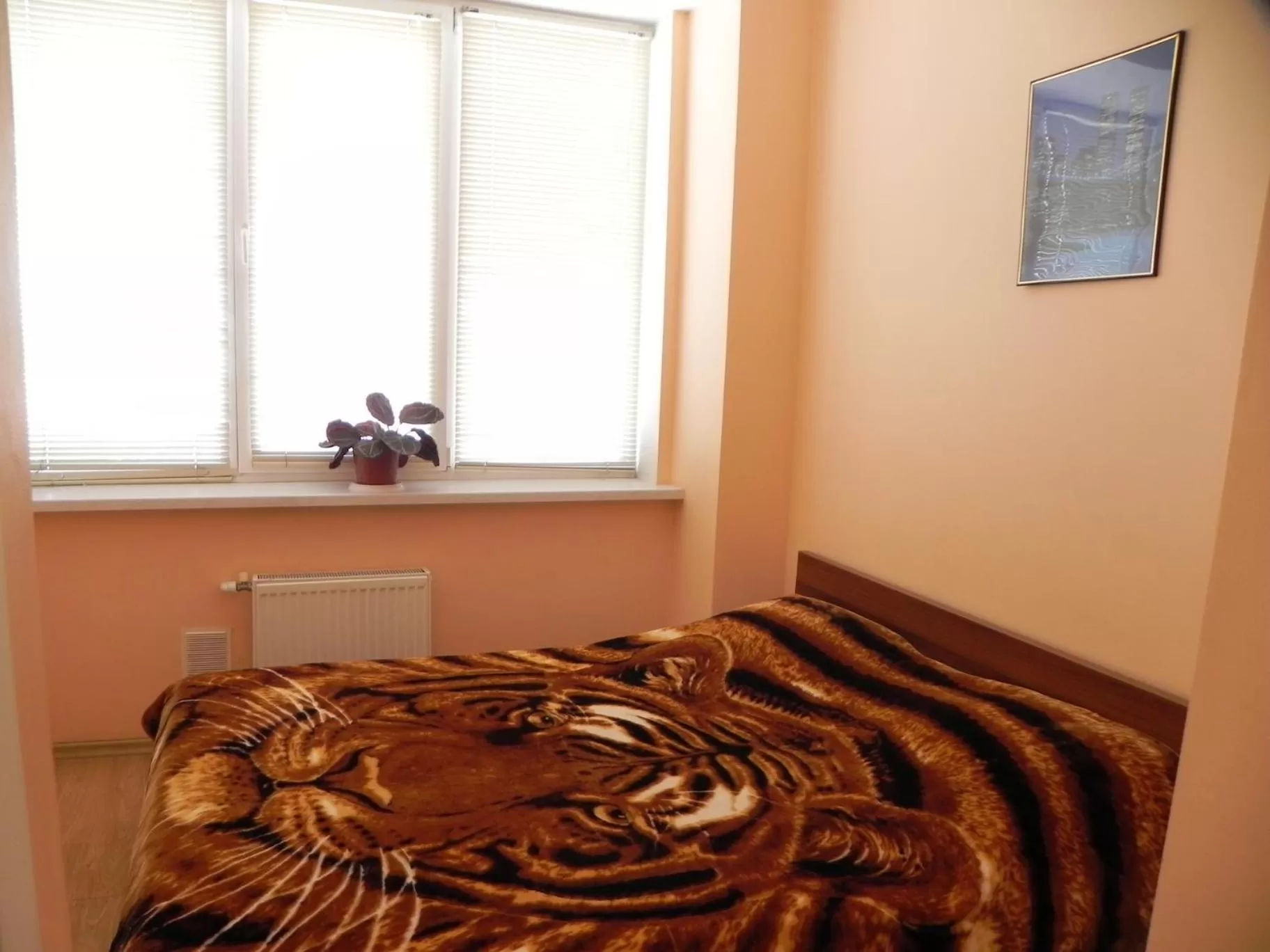 Photo of the whole room, Bed in Blaz