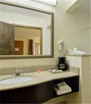 Bathroom in Super 8 by Wyndham Danville