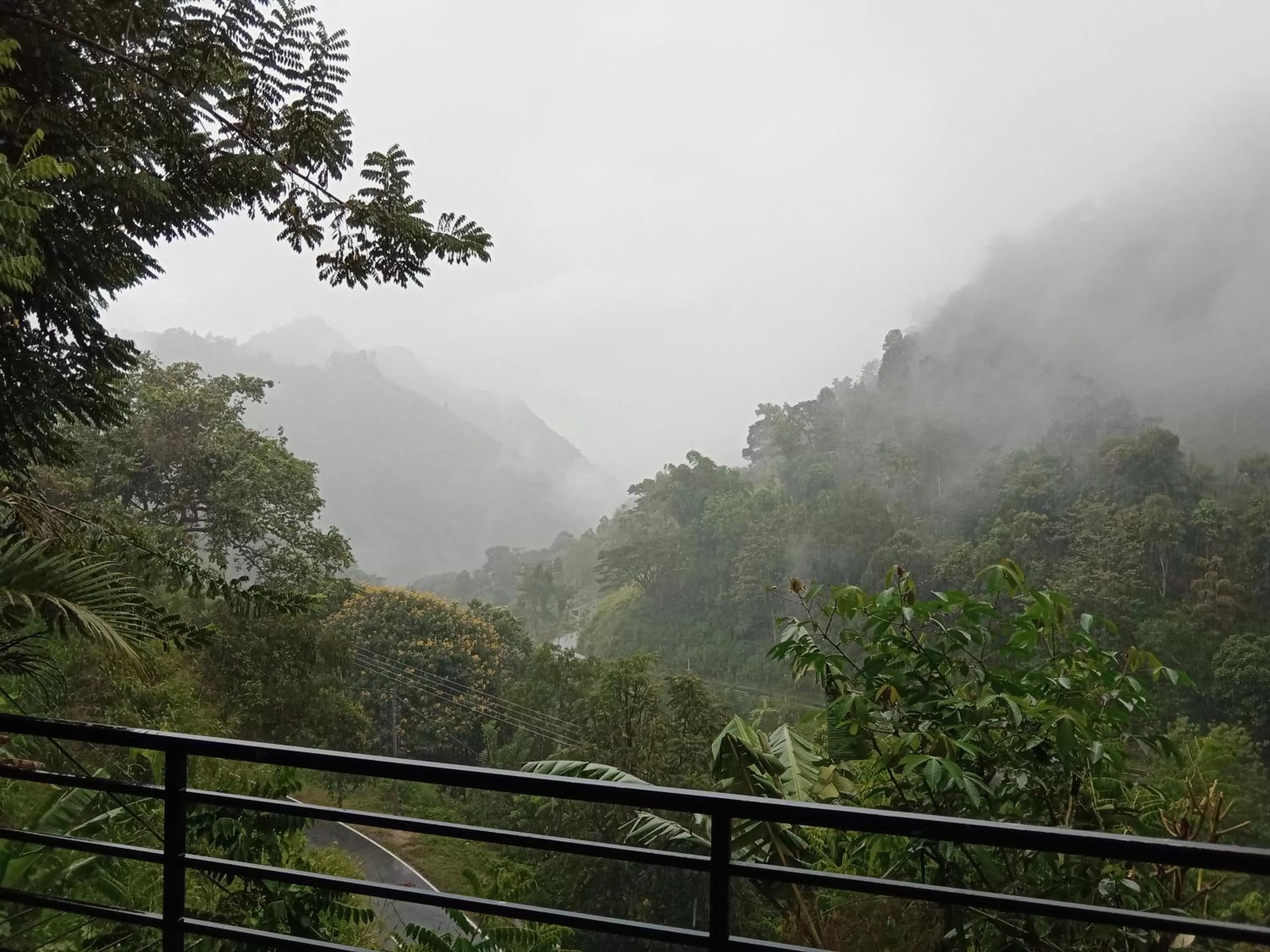 Mountain View in Ella Lucky Panoramic