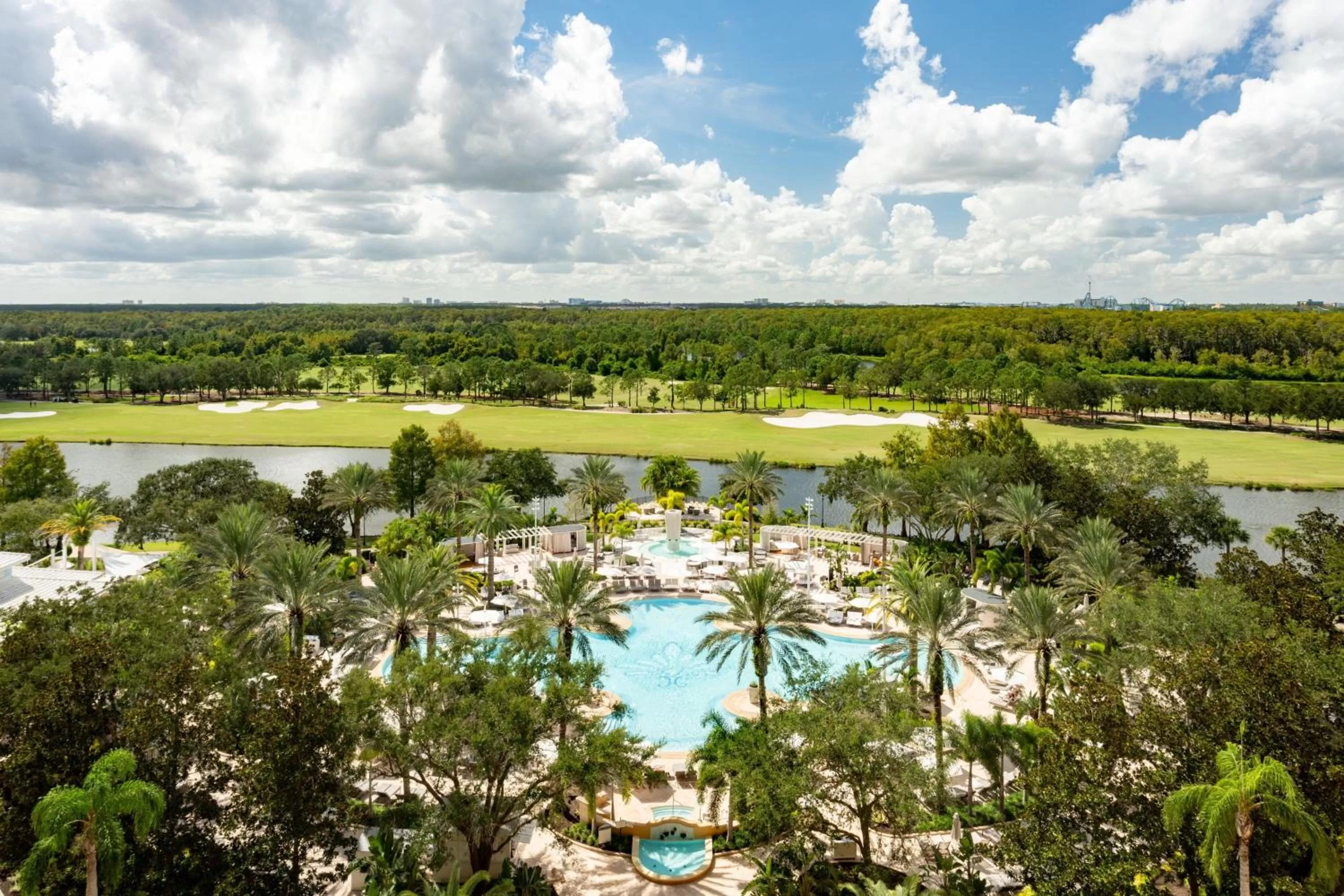 Swimming pool in The Ritz-Carlton Orlando, Grande Lakes