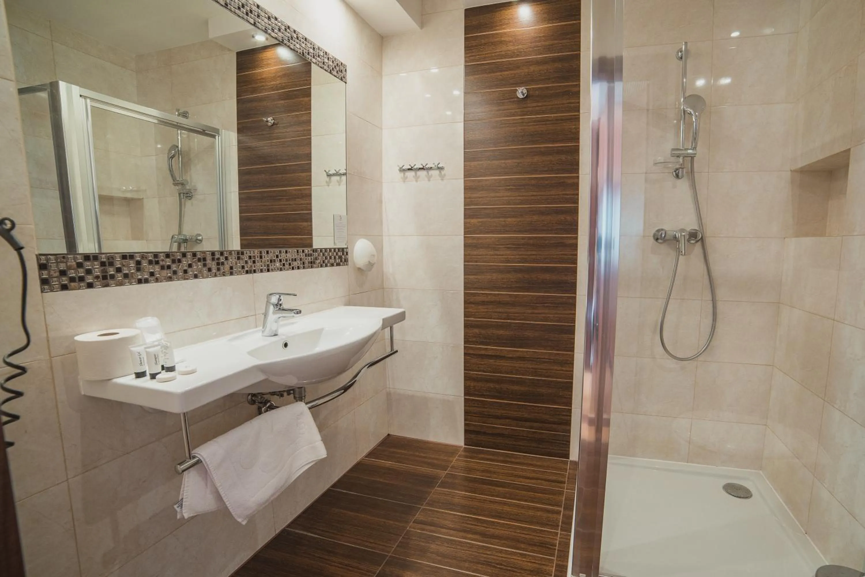 Shower in Hotel Binkowski