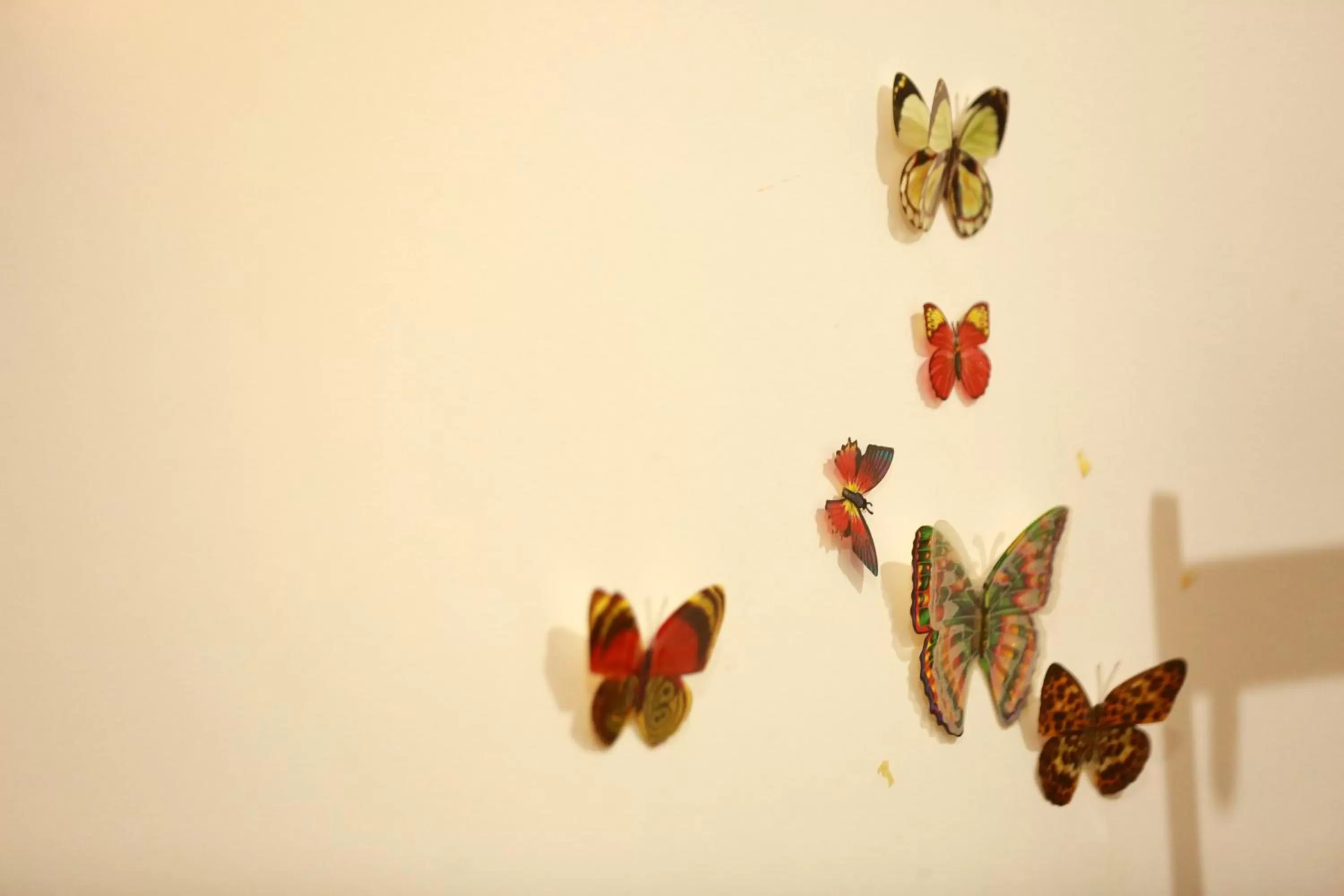 Decorative detail in Surf Orchid Villa