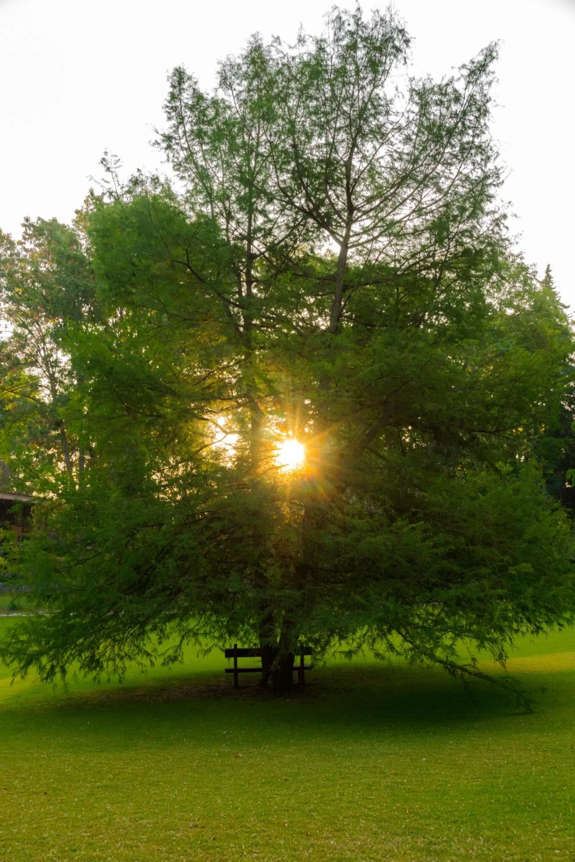 Day in Hotel Rancho San Cayetano