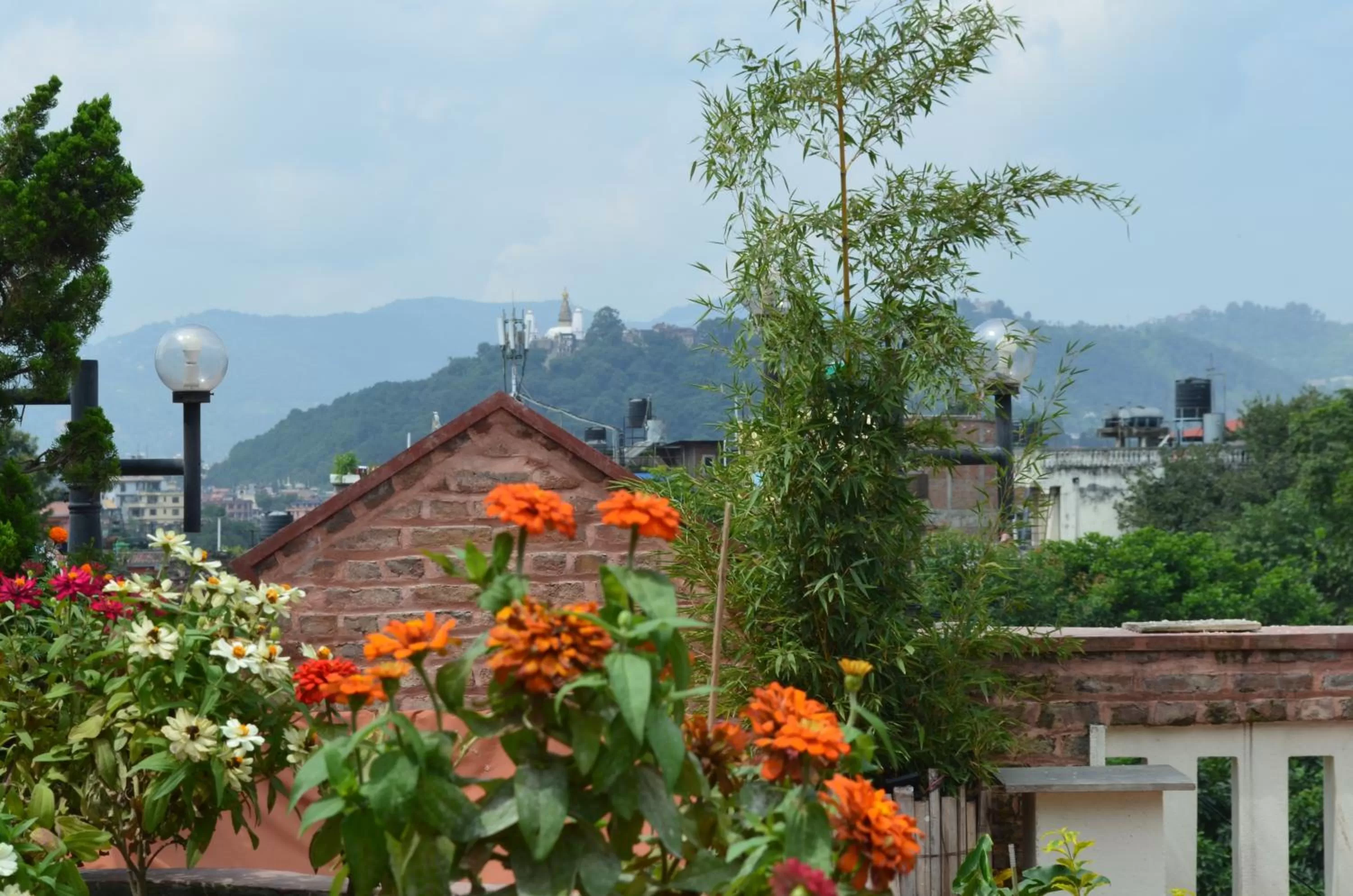 On site in Newa Home