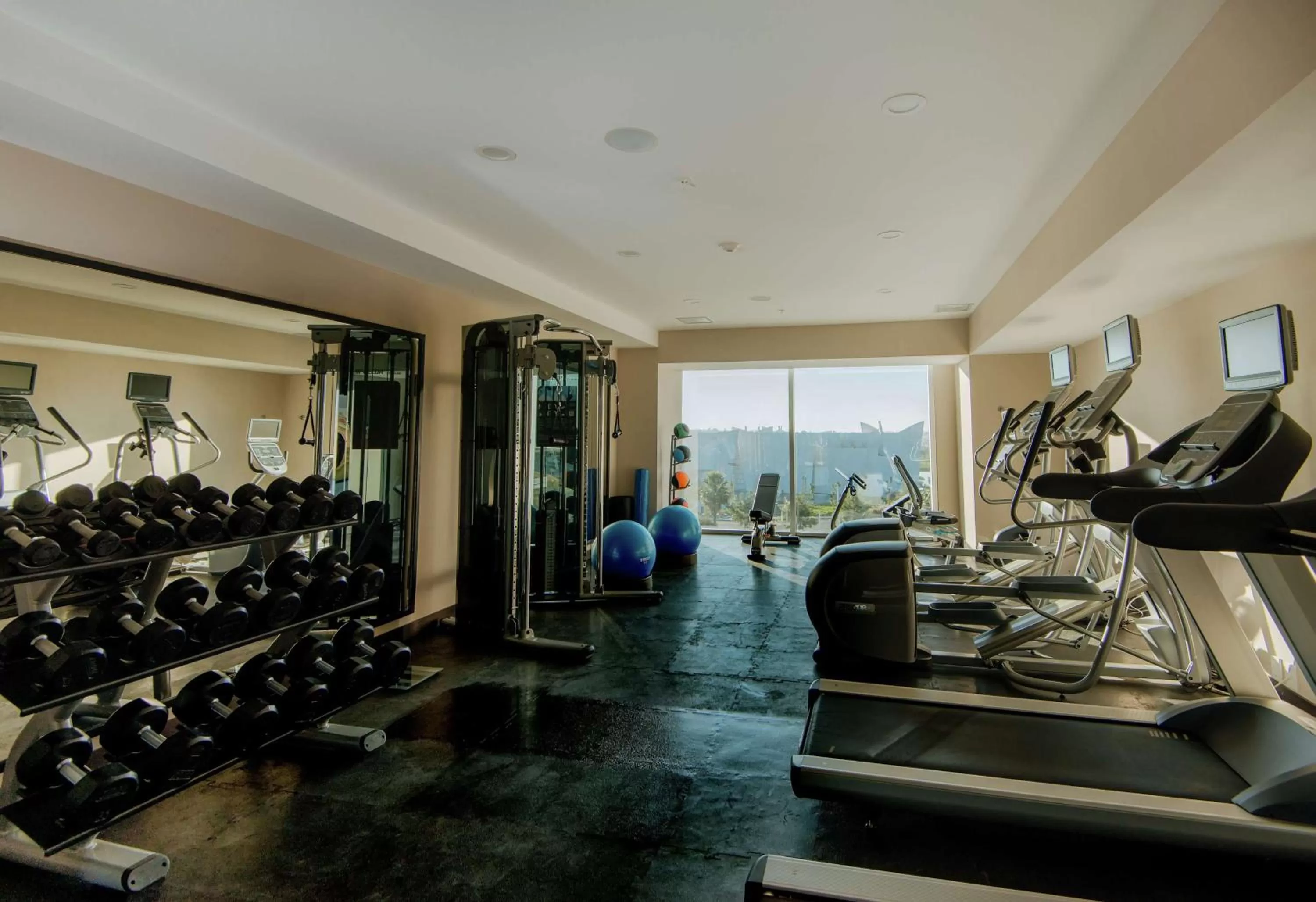 Fitness centre/facilities in Hilton Garden Inn Puebla Angelopolis
