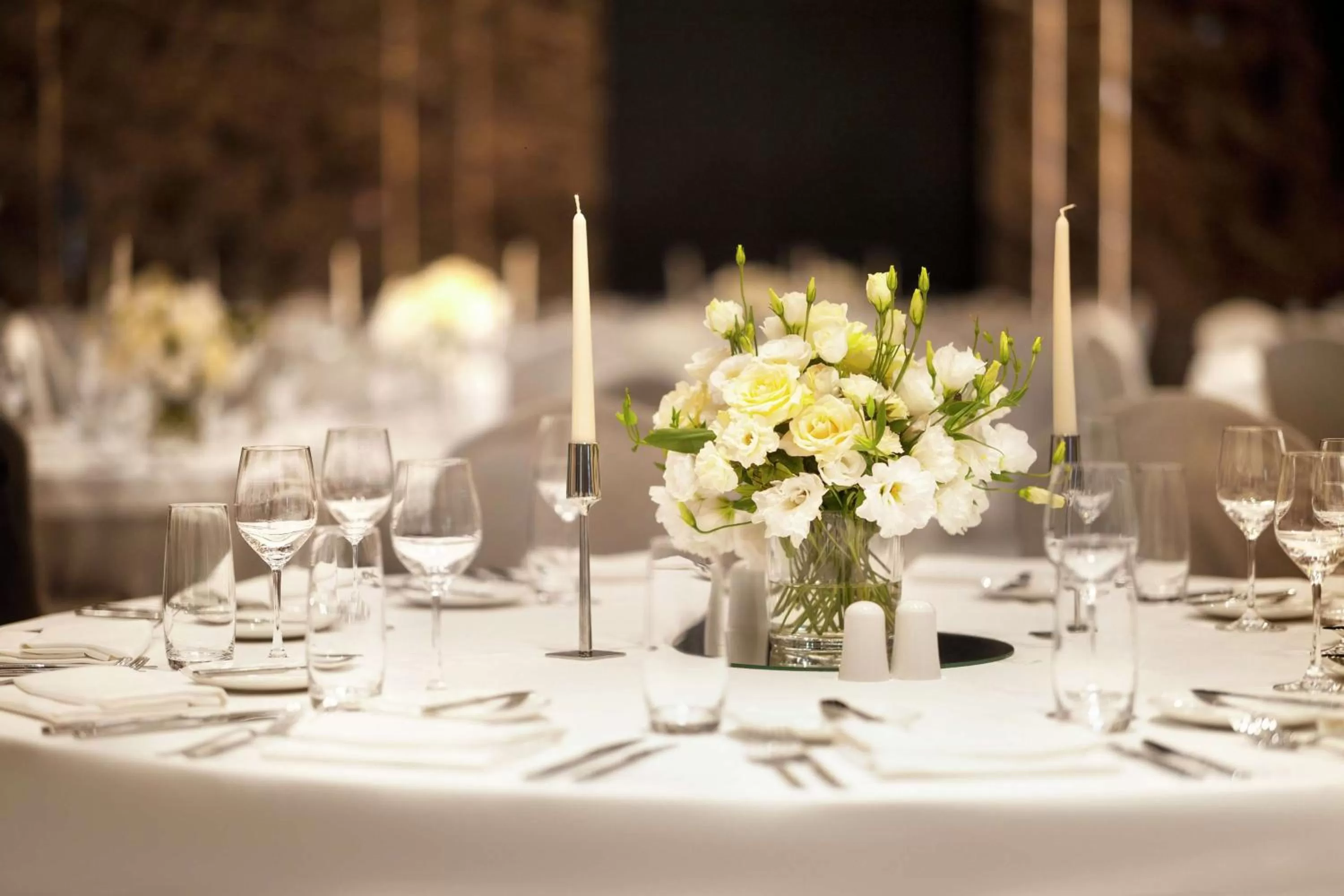 Meeting/conference room in Hilton Belgrade