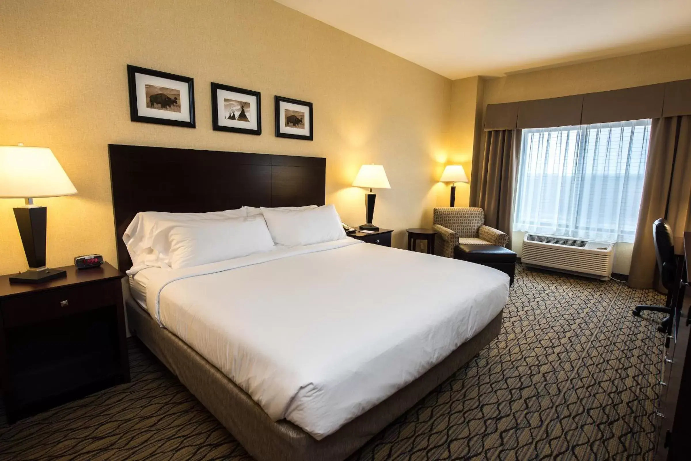 Standard King Room in Glacier Peaks Hotel Standard King Room in Glacier Peaks Hotel