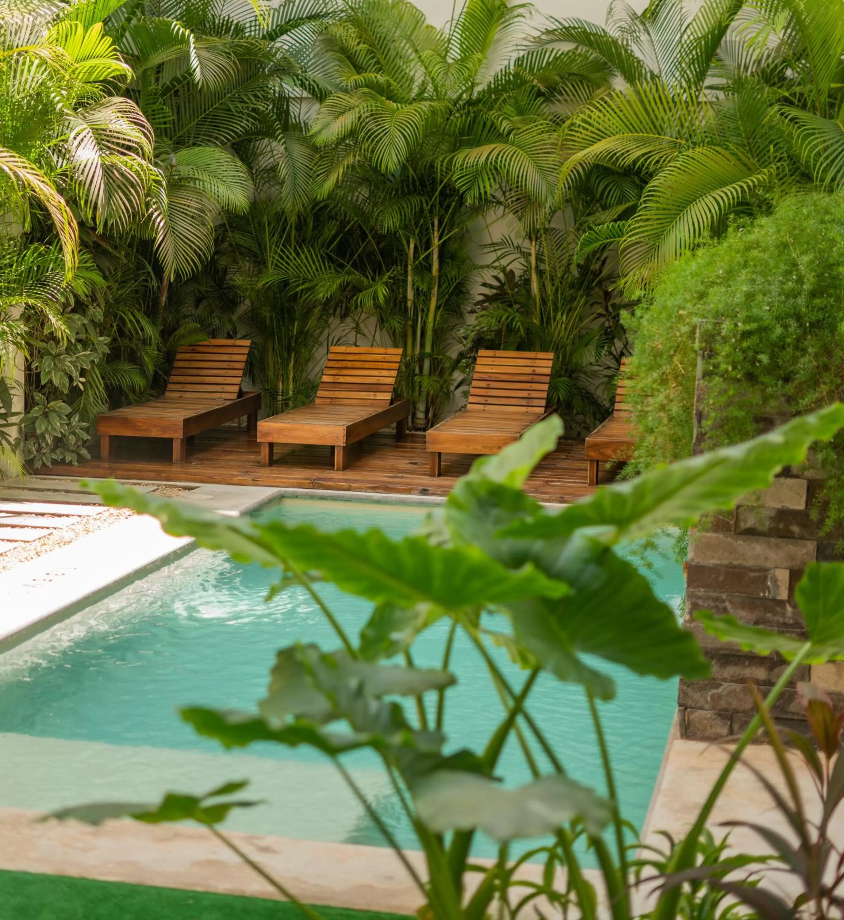 Swimming pool in Hotel Muyu Tulum