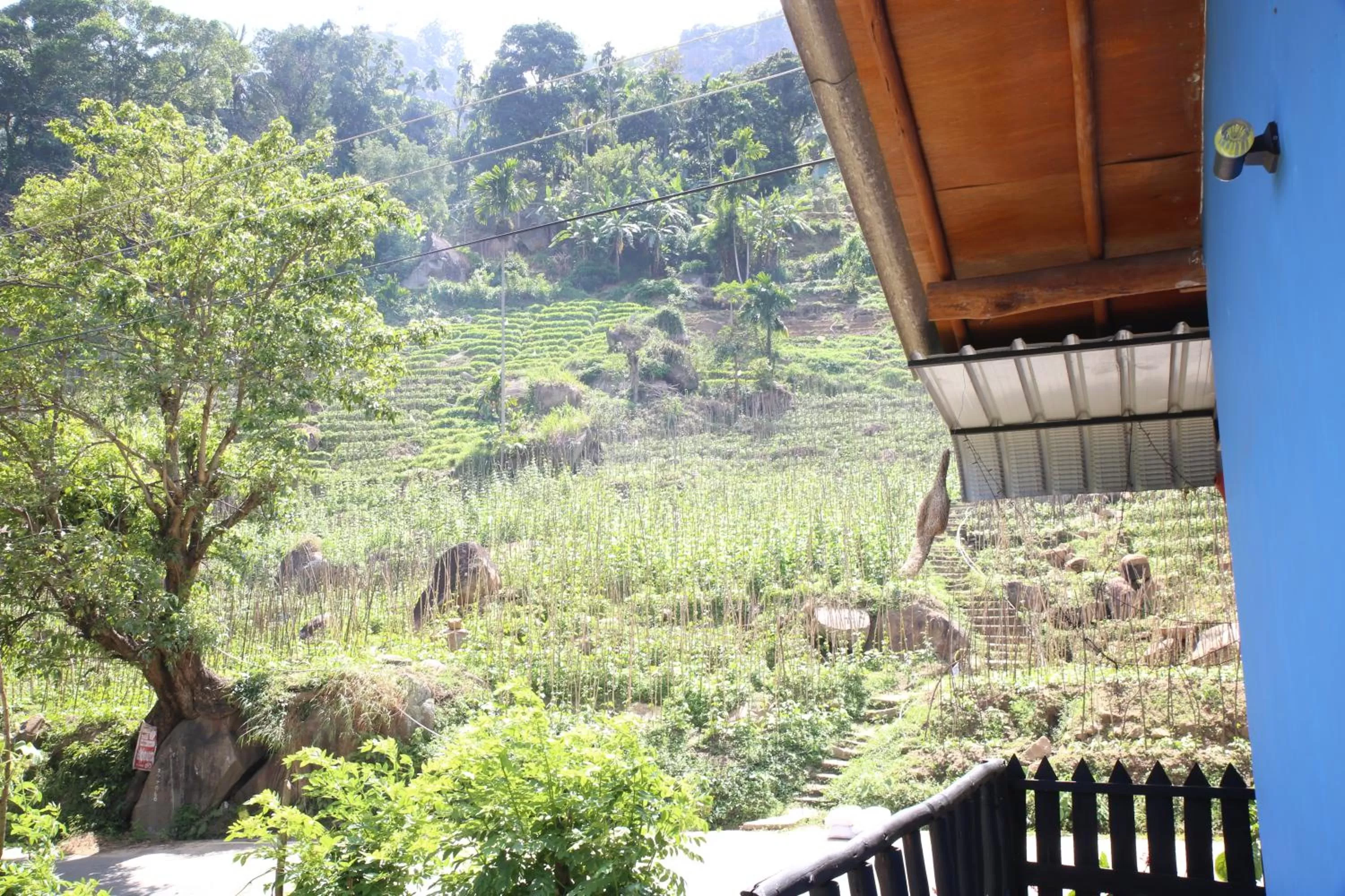 Natural landscape in Ella River Face Inn