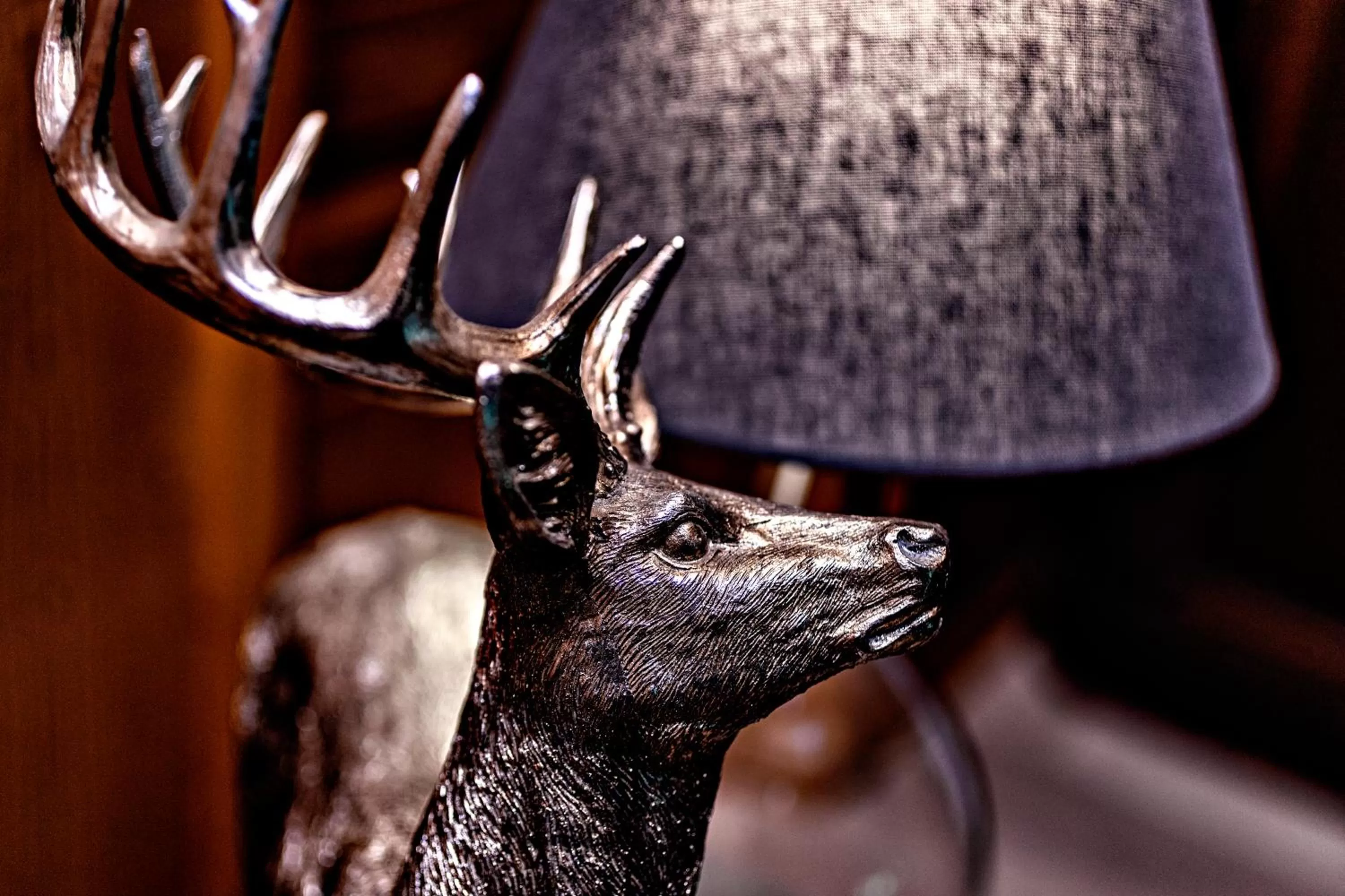 Decorative detail, Other Animals in Villa Zollhaus Bed & Breakfast