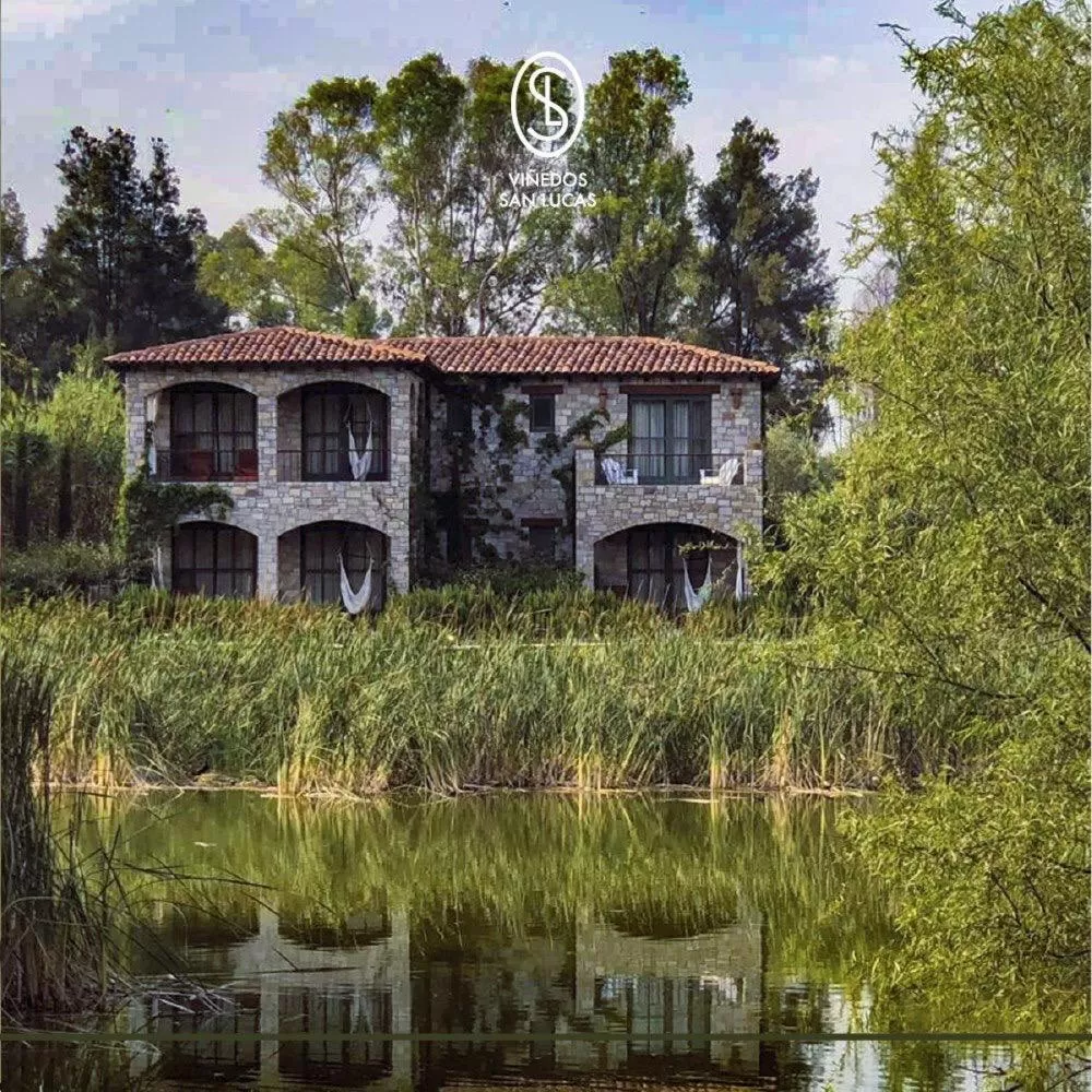 Property Building in Viñedos San Lucas