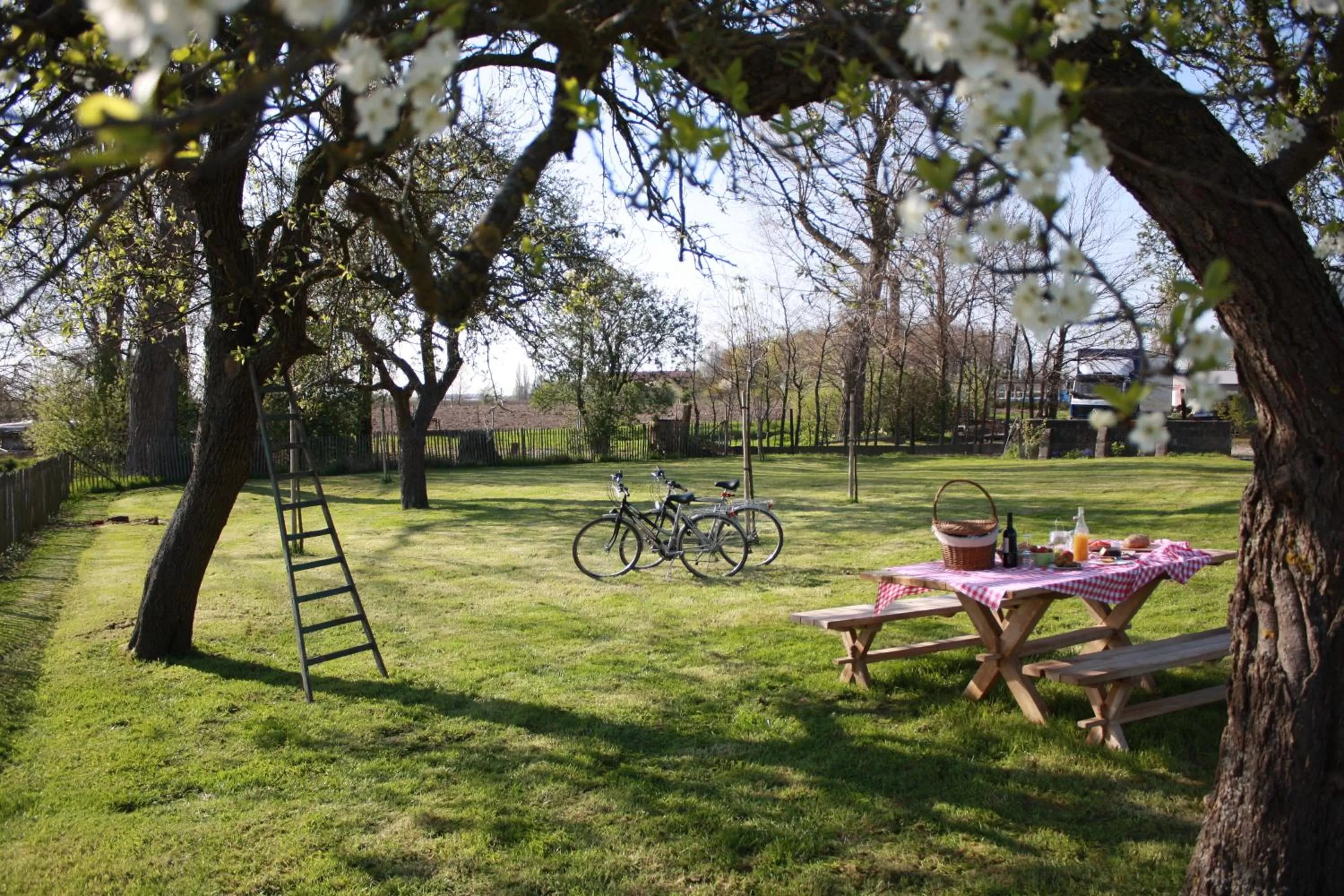 Facade/entrance in B&B Buytenshuys