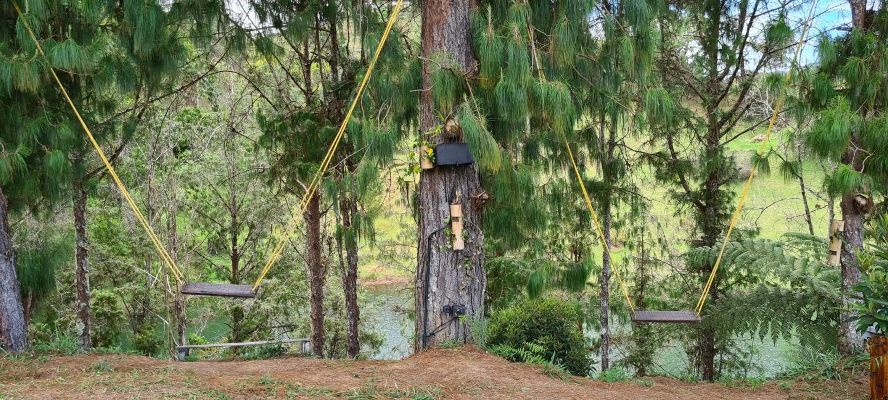 Natural landscape in Domus Glamping Guatapé
