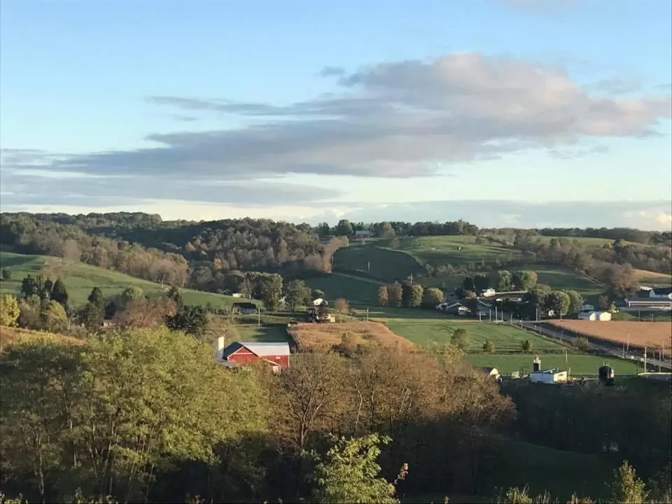 Day in Carlisle Inn Walnut Creek