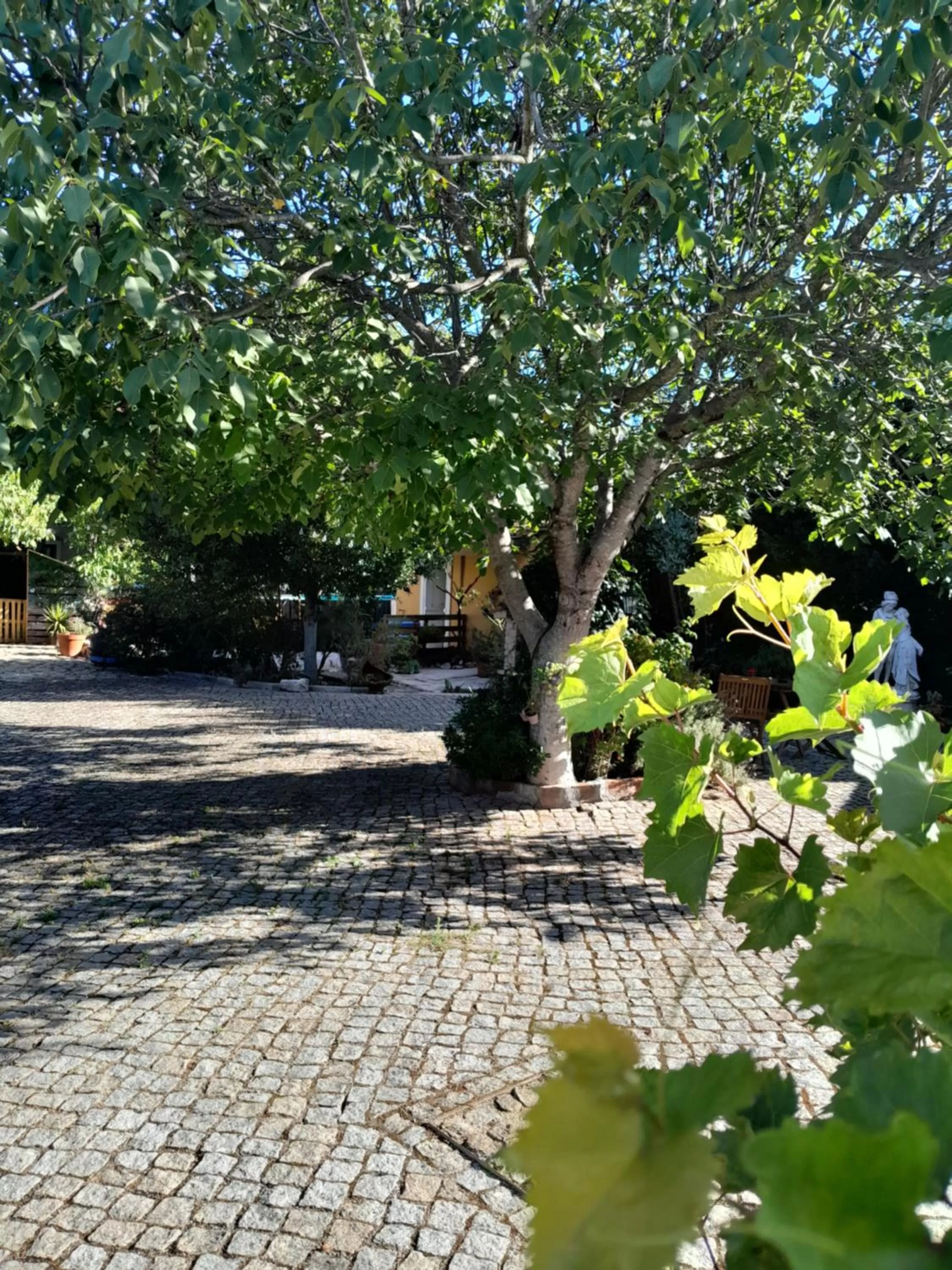 Patio in Refúgio das Artes Guesthouse