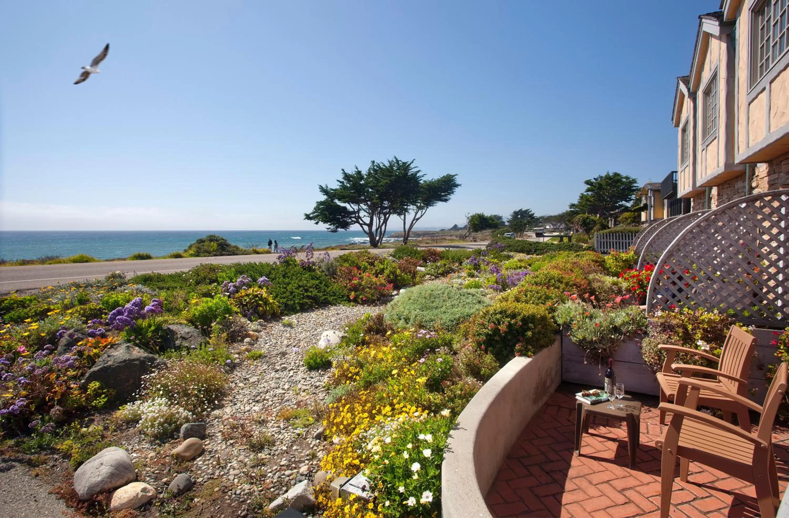 Spring in Pelican Inn & Suites