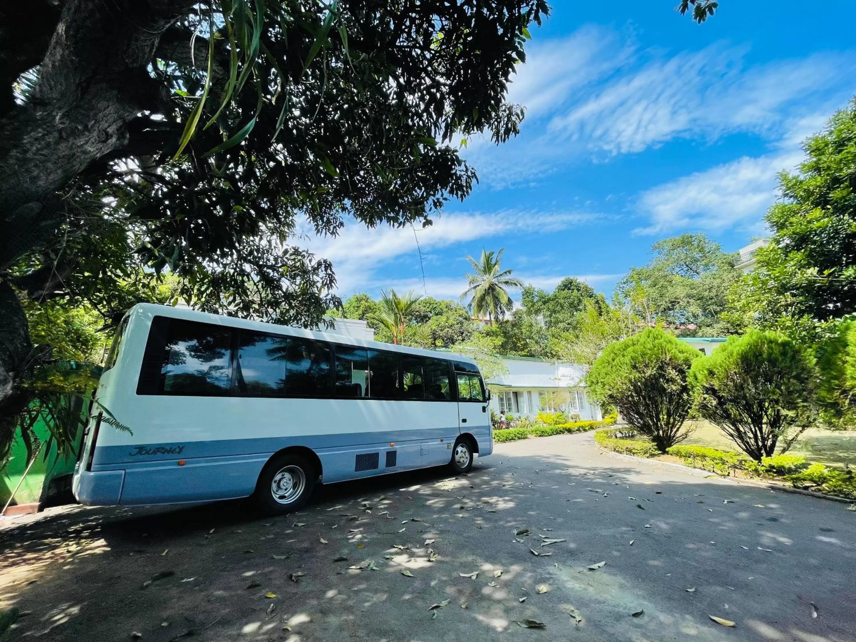Property building in Fortuna Heritage Home