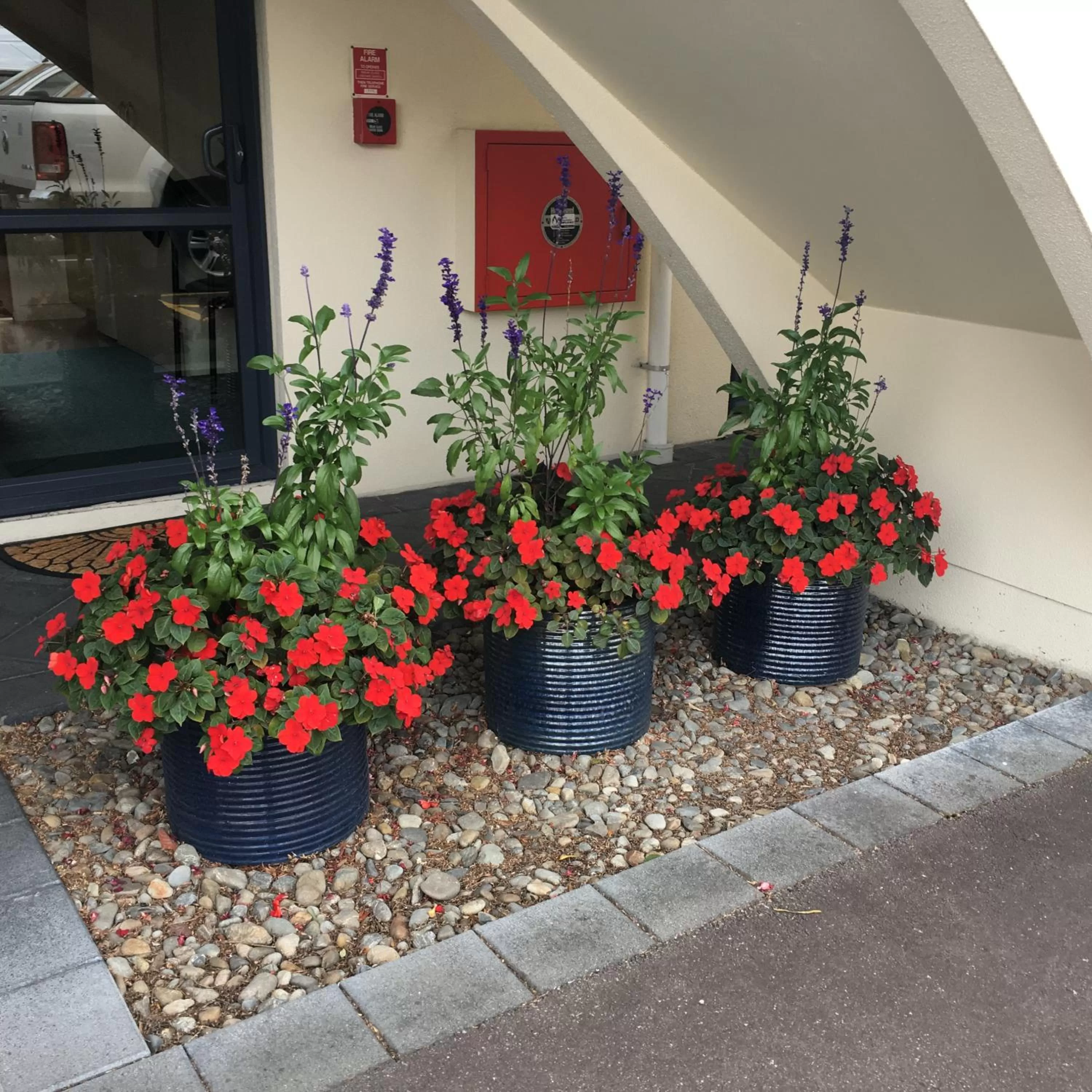 Property building in Bella Vista Motel Palmerston North