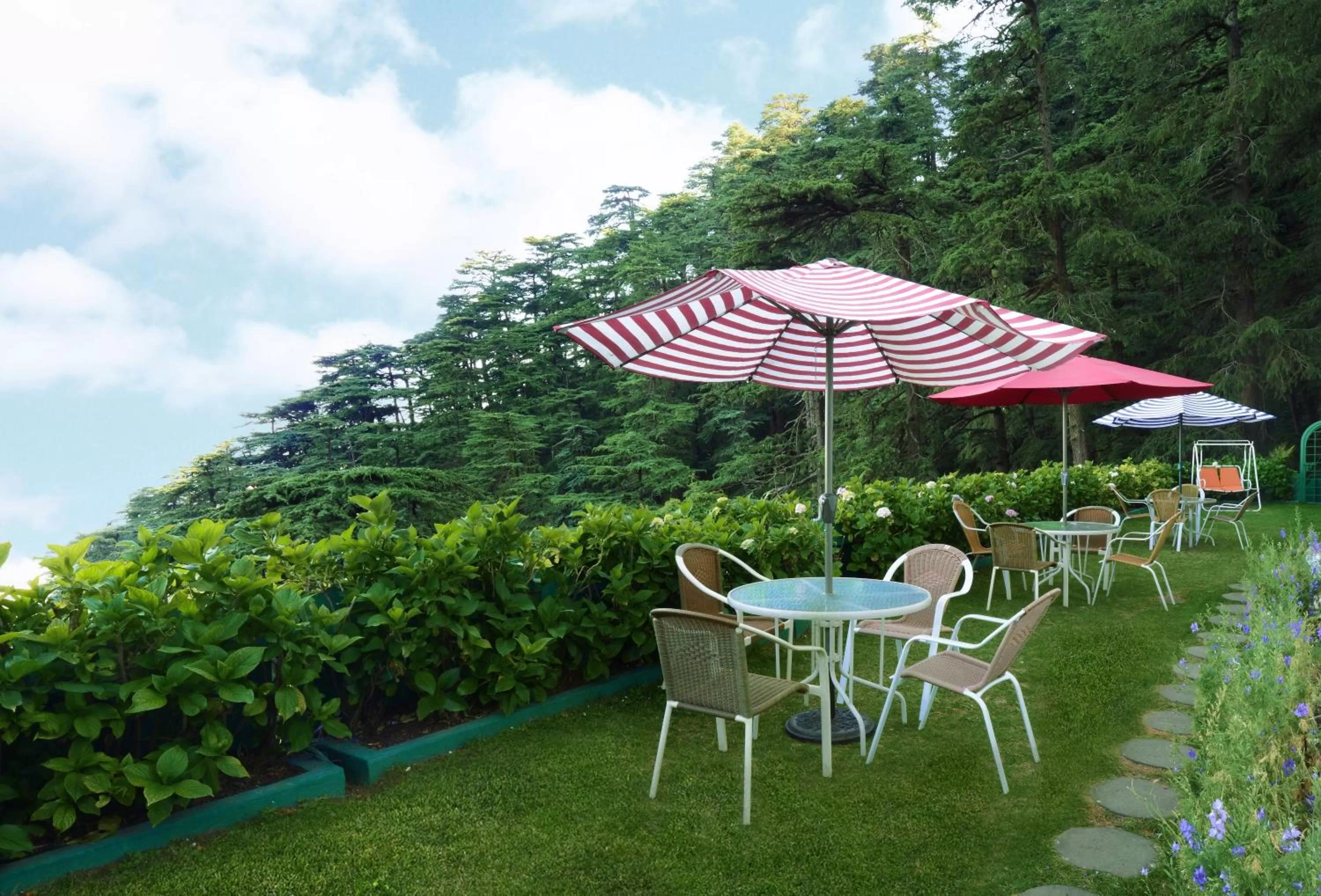 Garden in Honeymoon Inn Shimla