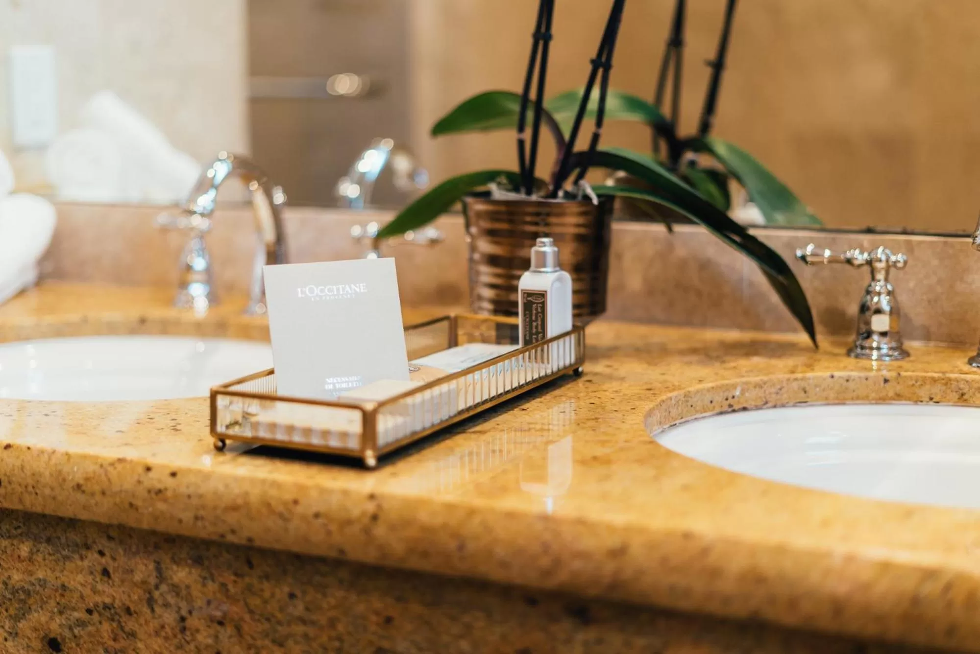 Bathroom in Neighbourgood Sutter Mansion