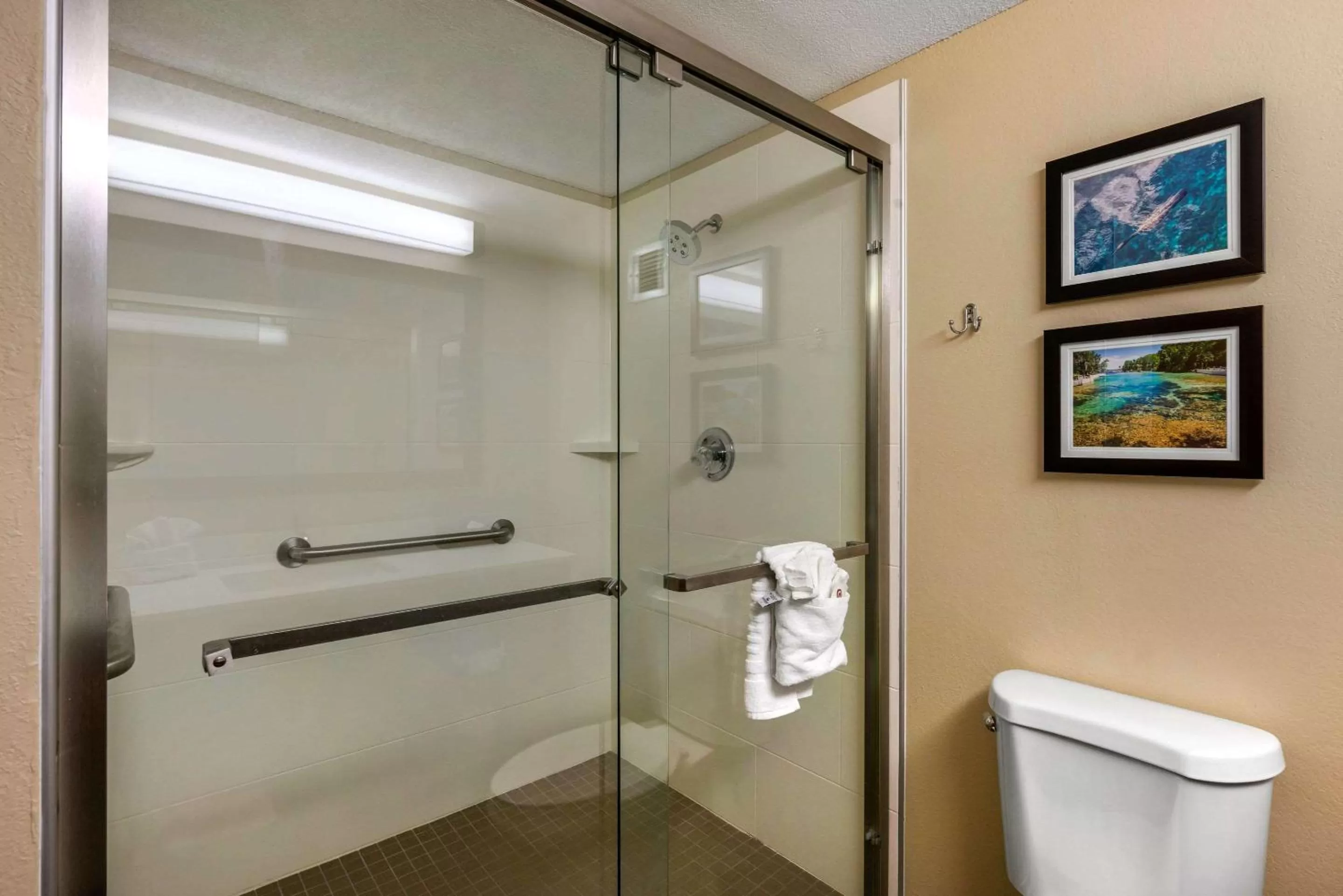 Photo of the whole room in Comfort Inn Ocala Silver Springs