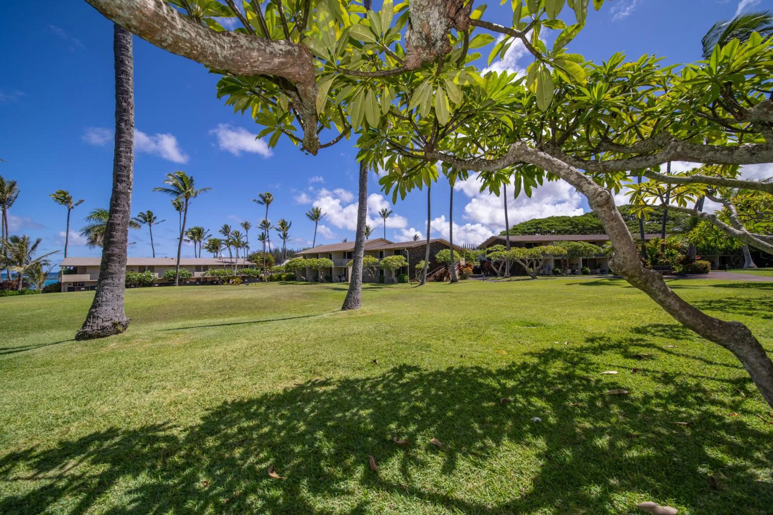 Natural landscape in Napili Shores Maui by OUTRIGGER - No Resort & Housekeeping Fees