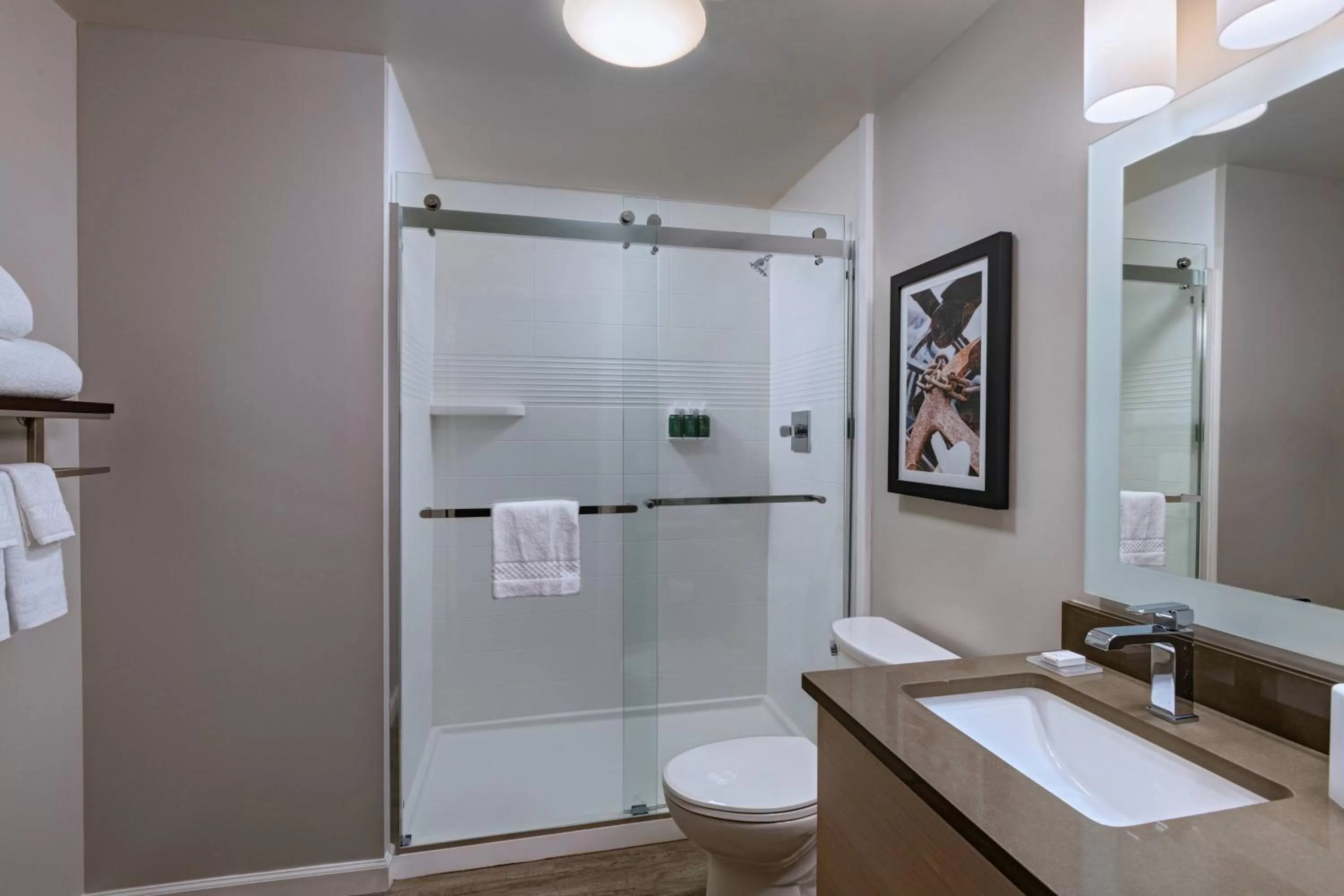 Bathroom in TownePlace Suites by Marriott San Diego Airport/Liberty Station