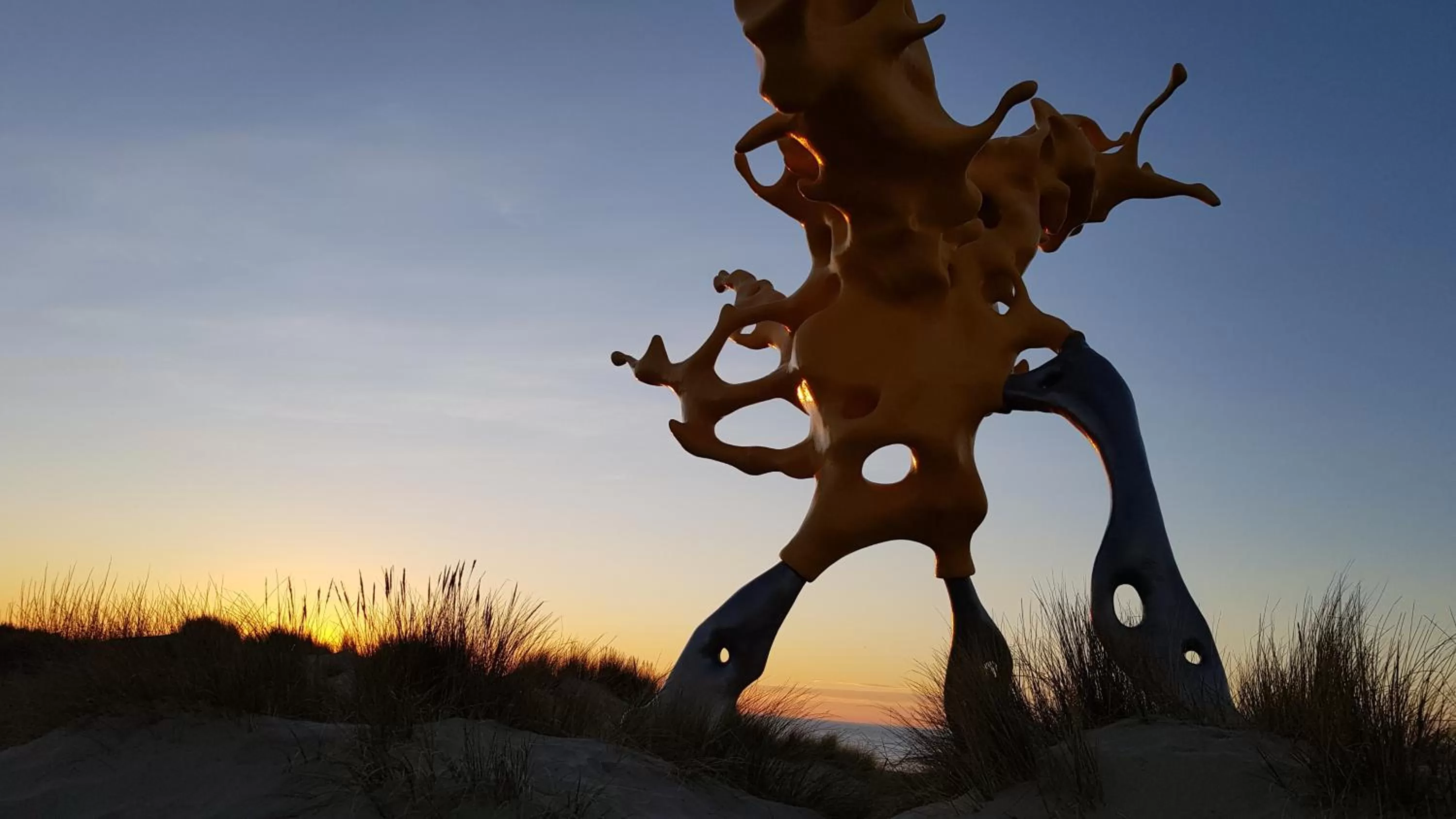 Natural landscape in C-Hotels Zeegalm