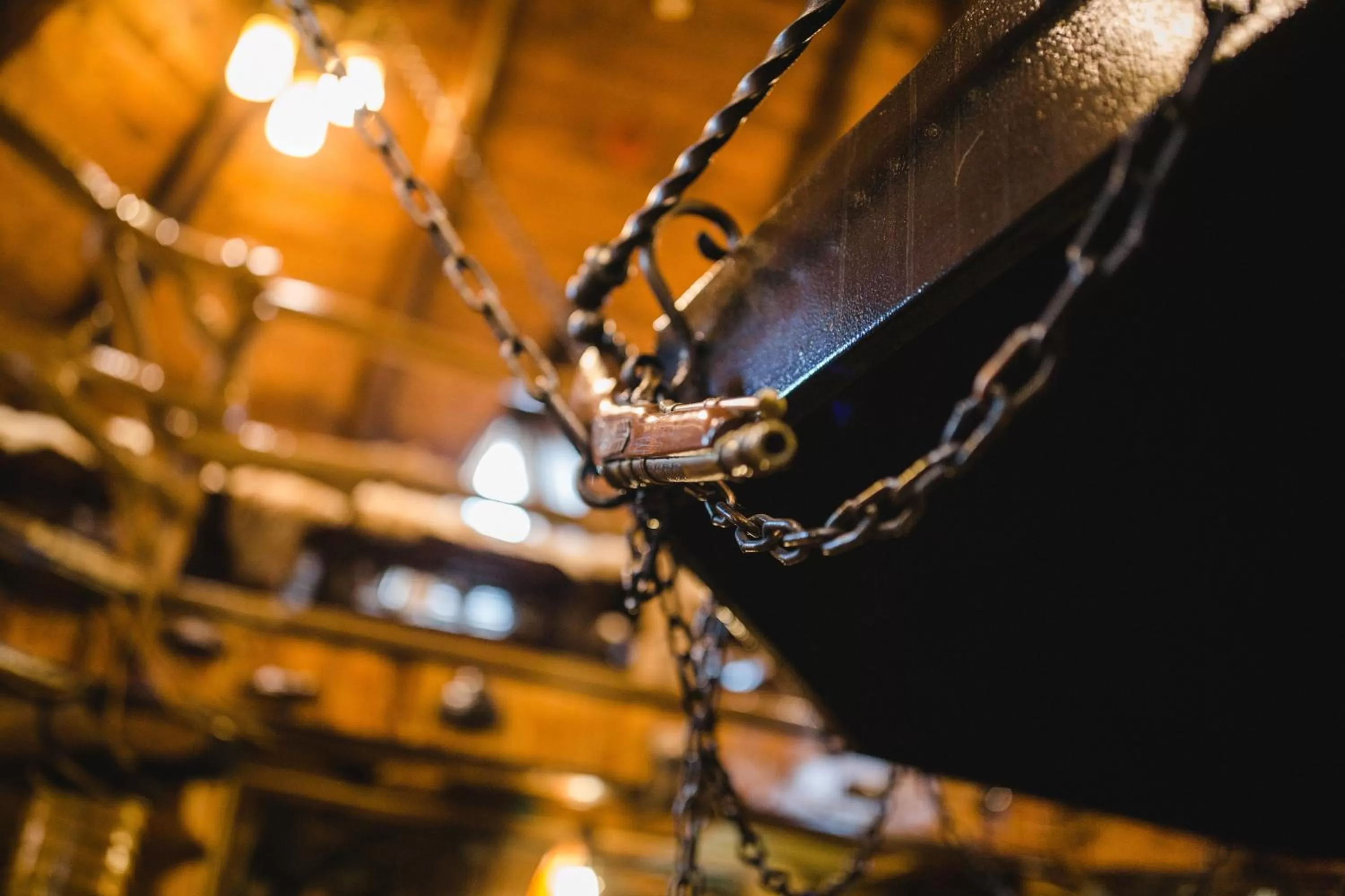 Other Animals in Kolyba Opryshkiv