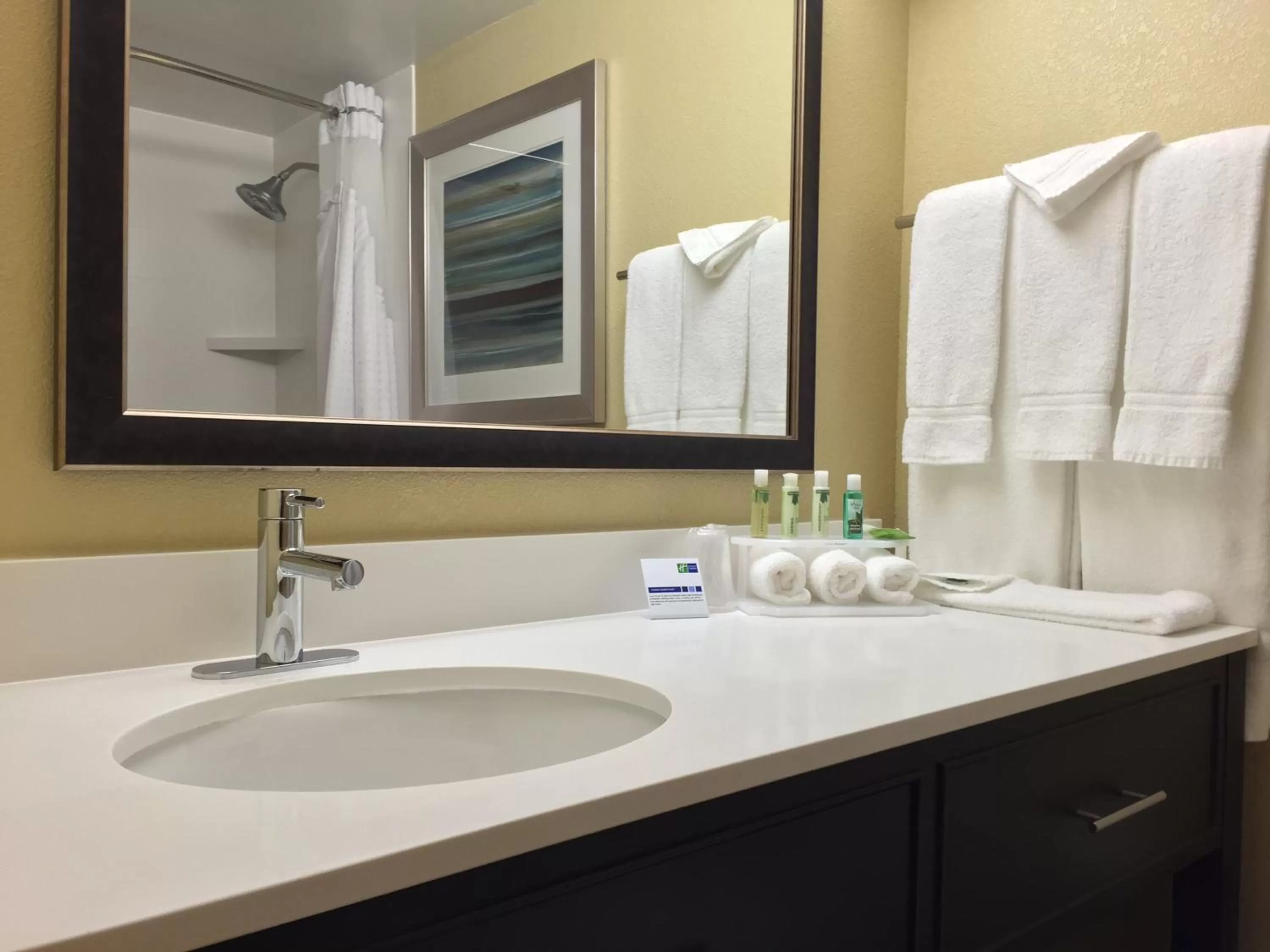 Bathroom in Holiday Inn Express Chicago NW - Arlington Heights by IHG