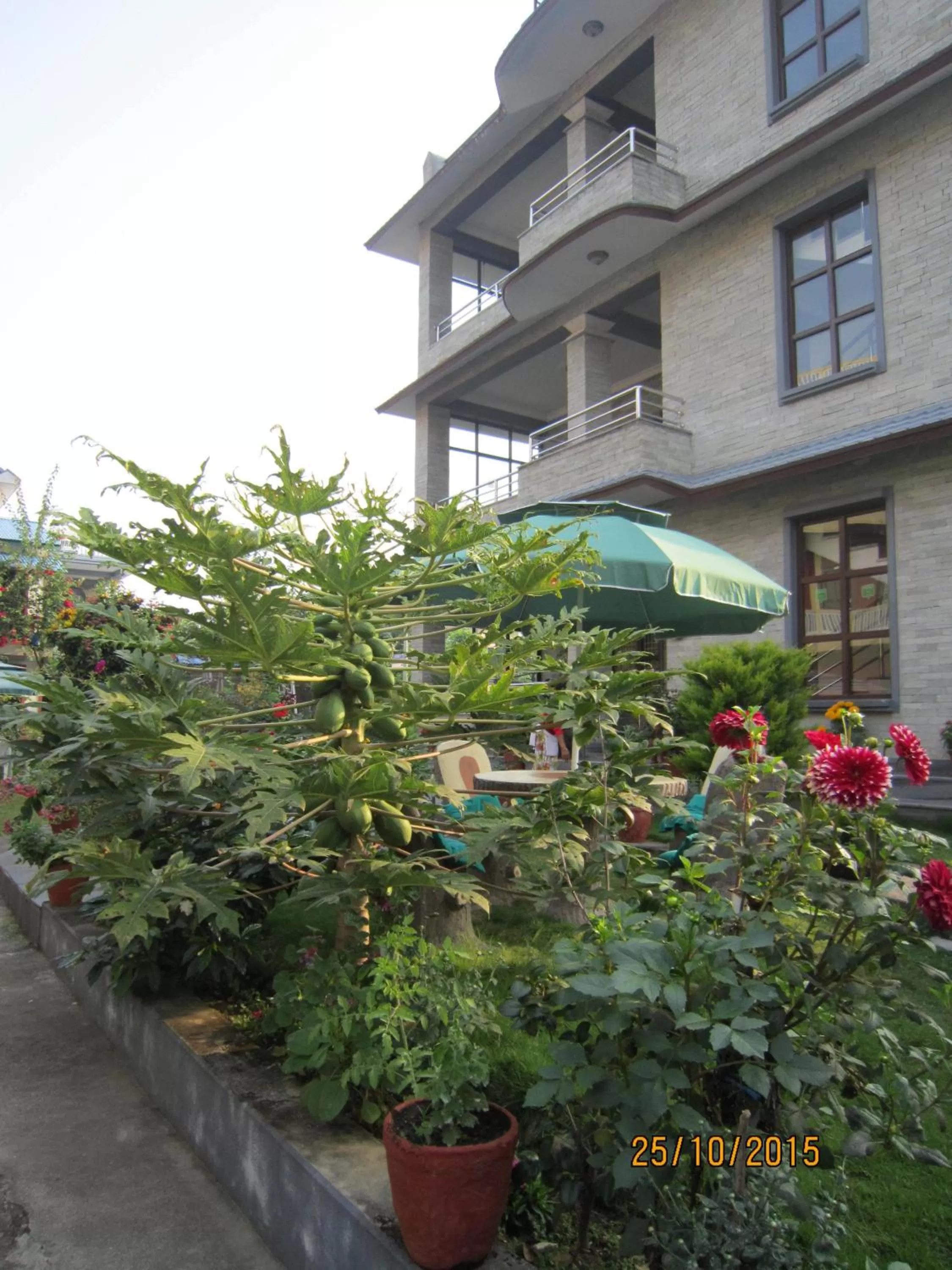 Garden in New Annapurna Guest House