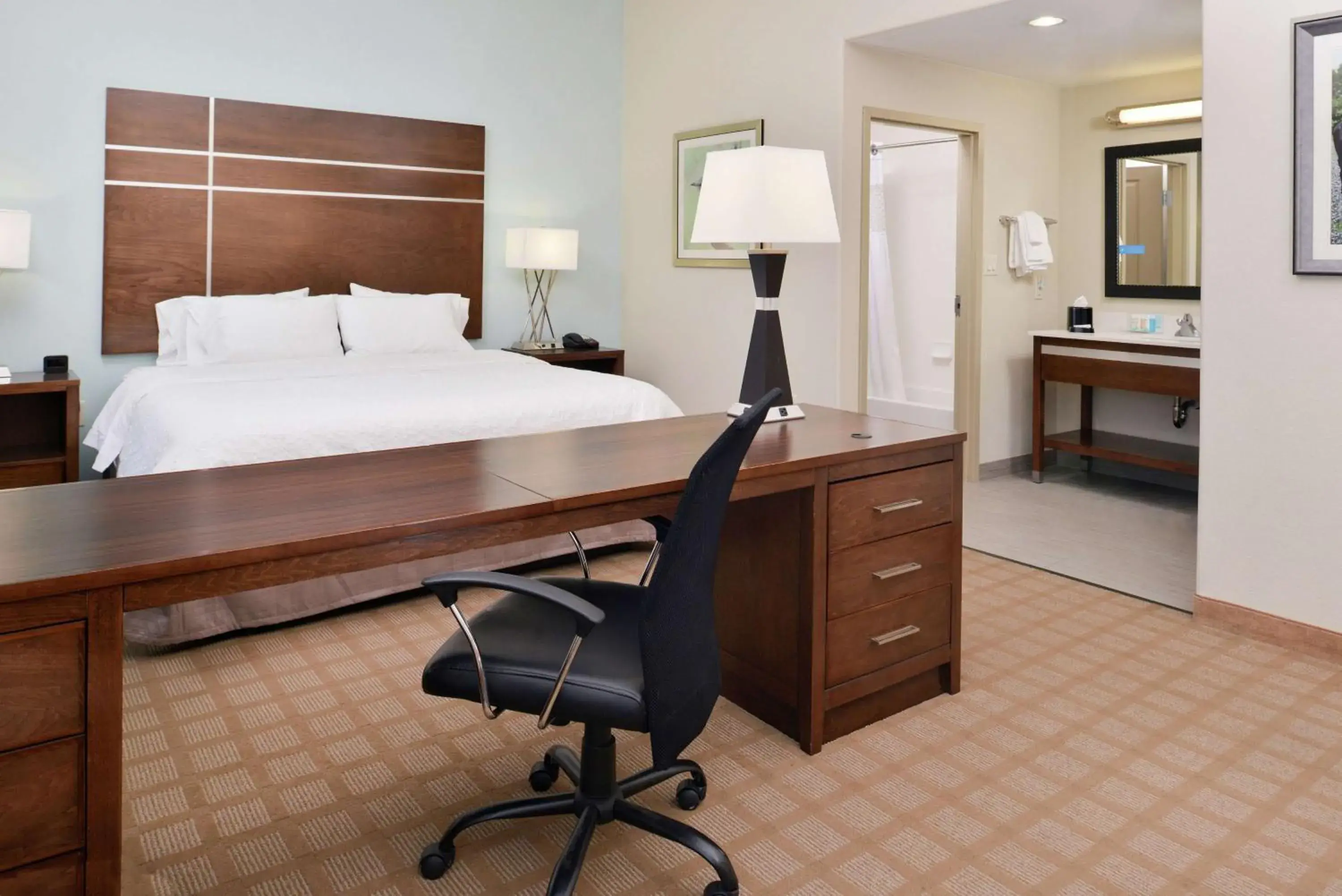 King Studio in Hampton Inn and Suites Hutto King Studio in Hampton Inn and Suites Hutto