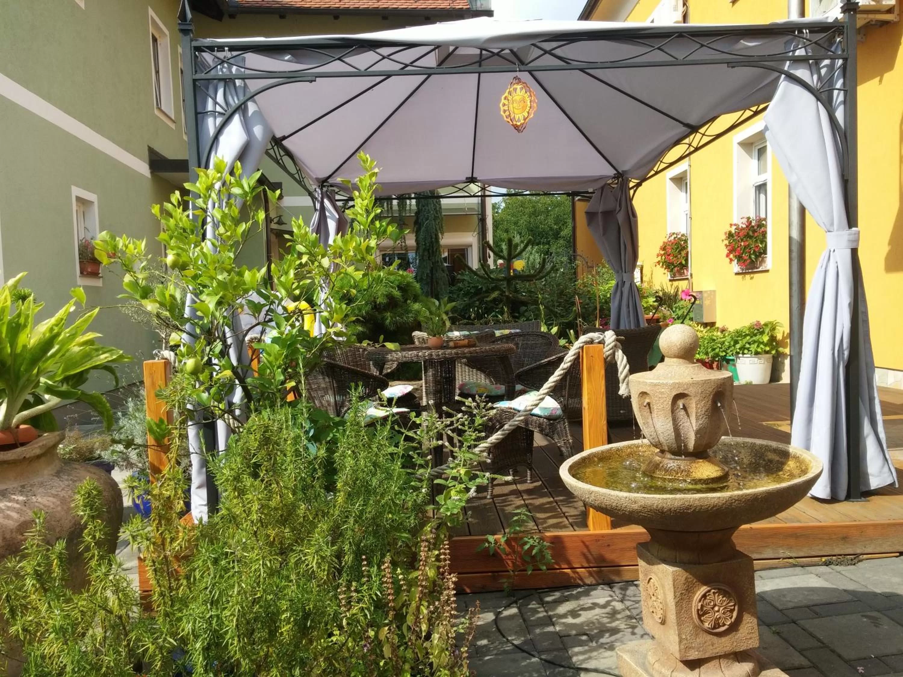 Garden in Hostel Sonce