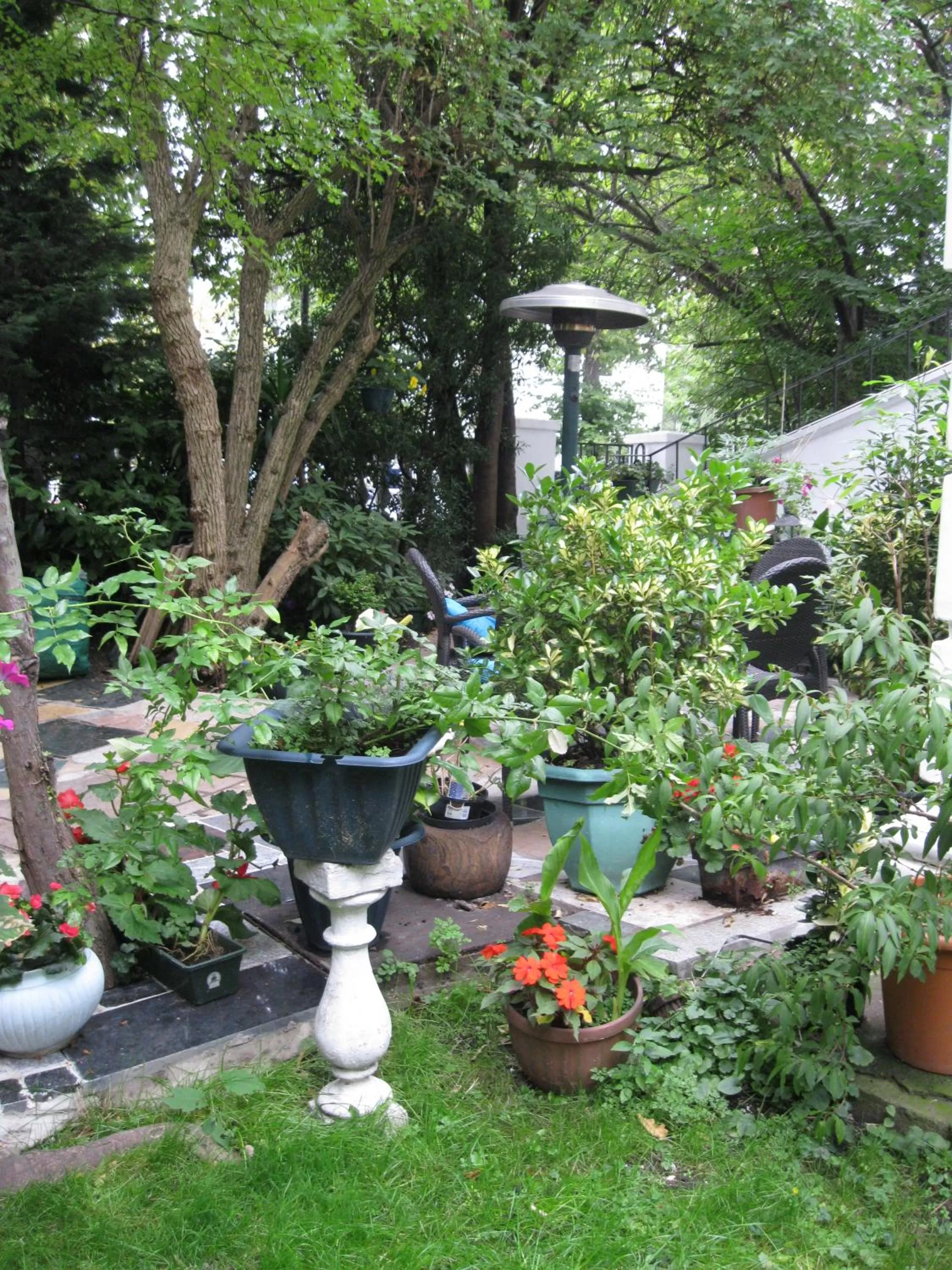 Spring in Dawson Place, Juliette's Bed and Breakfast