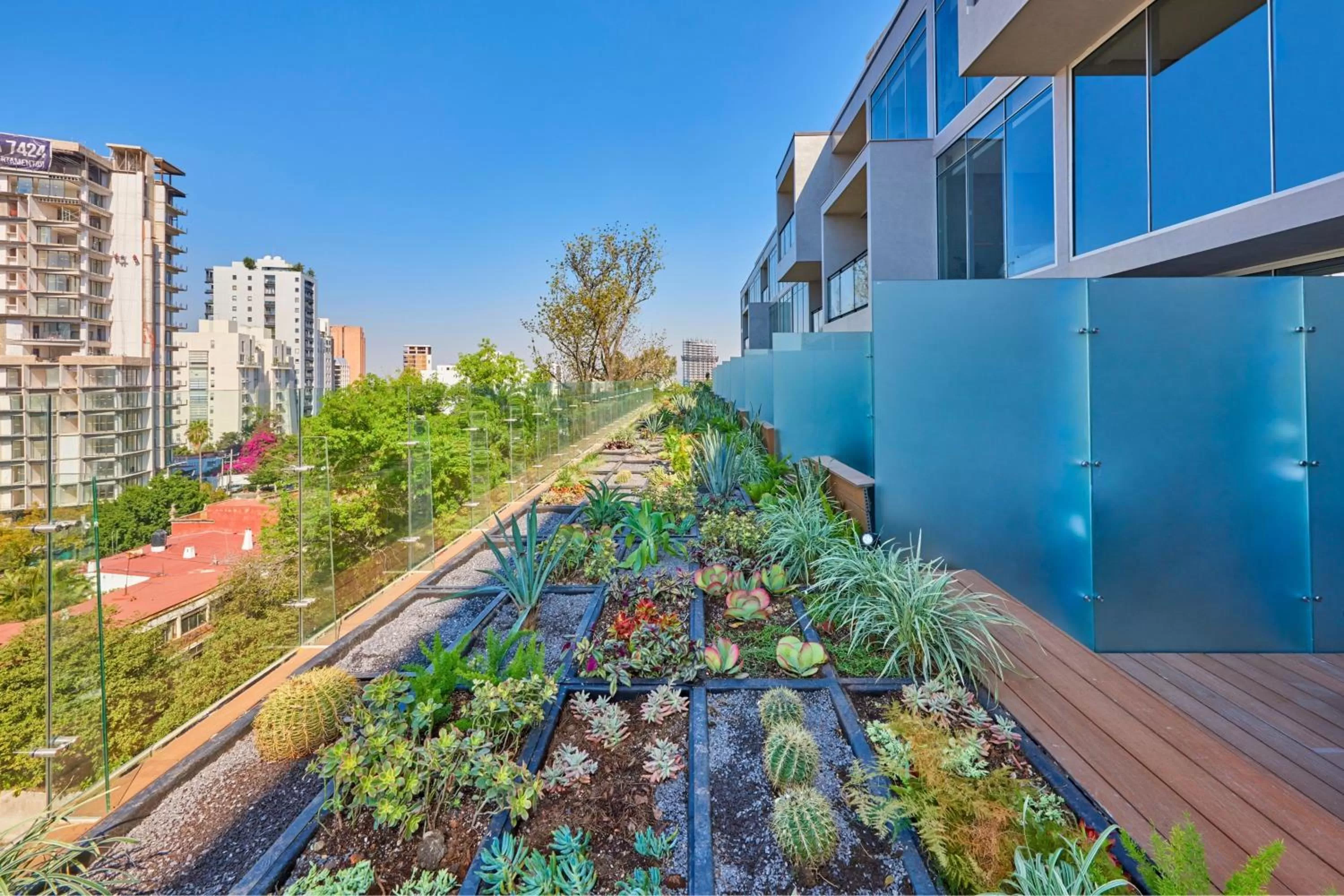 Other in City Express Plus by Marriott Guadalajara Providencia