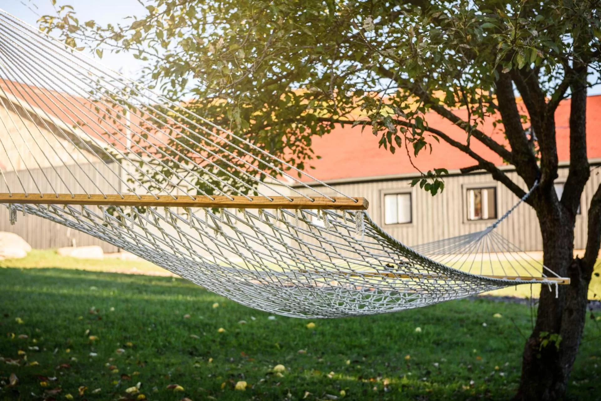 Property building in Beatnik Hotel