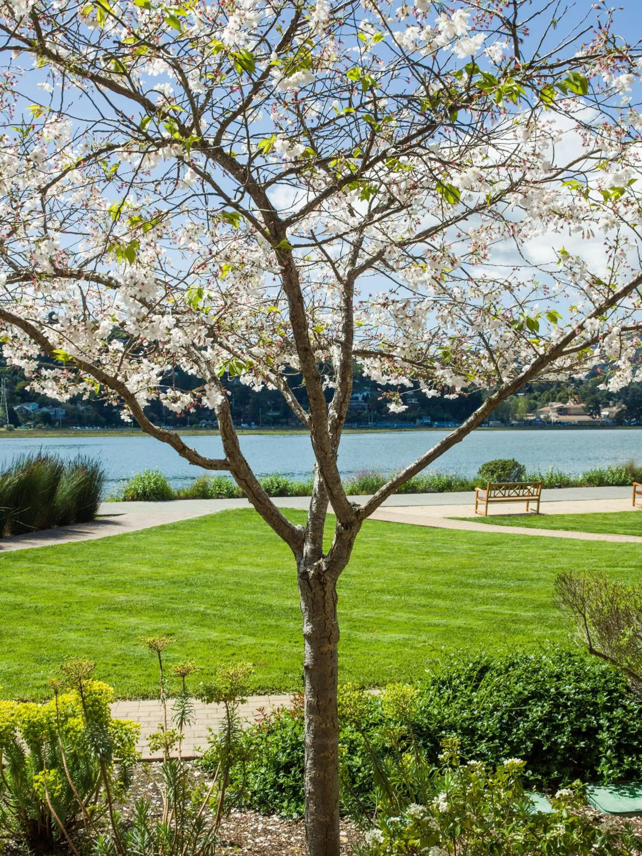 Garden in Acqua Hotel