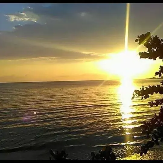 4-Bed Mixed Dormitory Room in Port Antonio Brian's Beach House 4-Bed Mixed Dormitory Room in Port Antonio Brian's Beach House