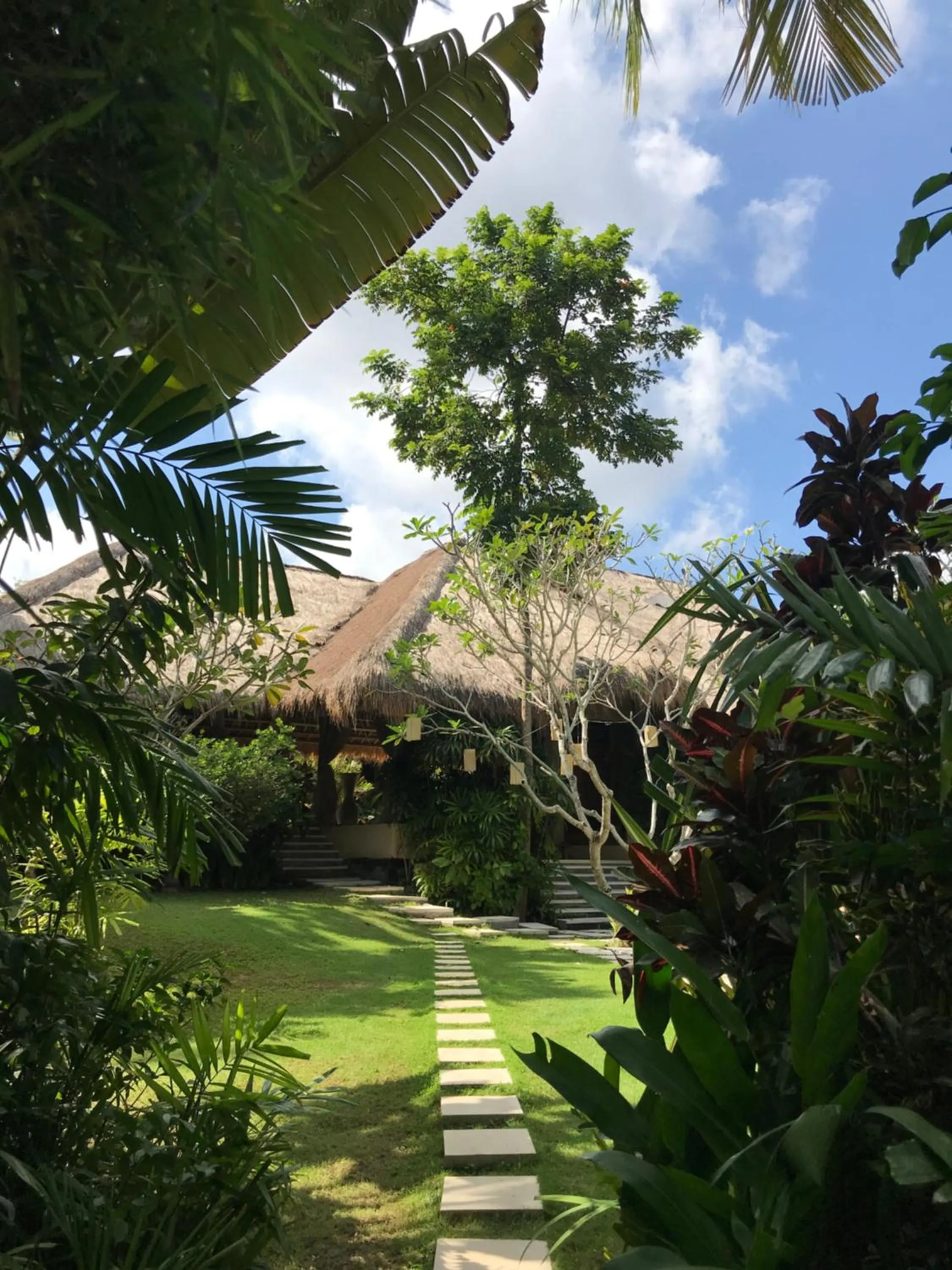 Garden in Villa Mathis