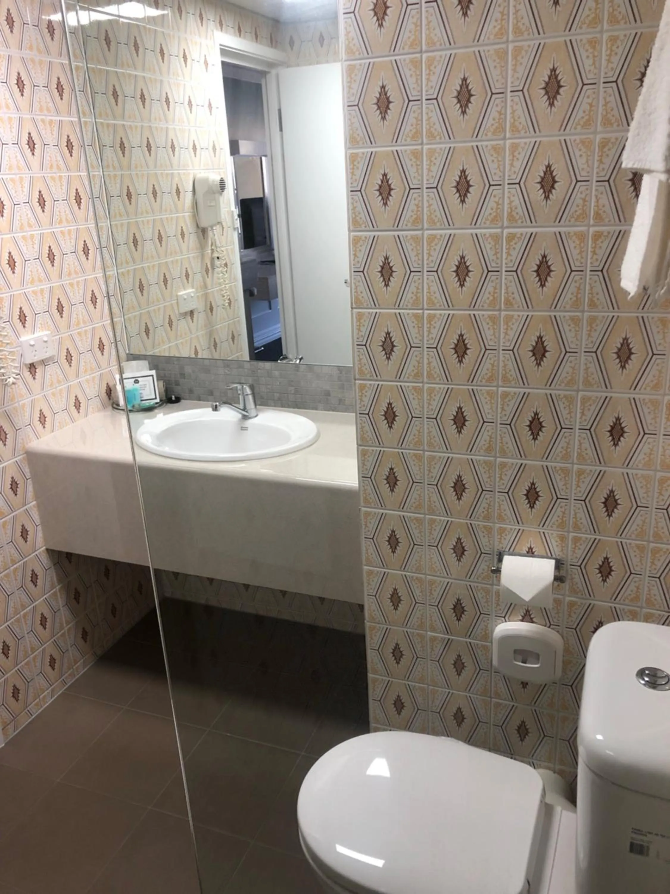 Toilet in Dog Rock Motel