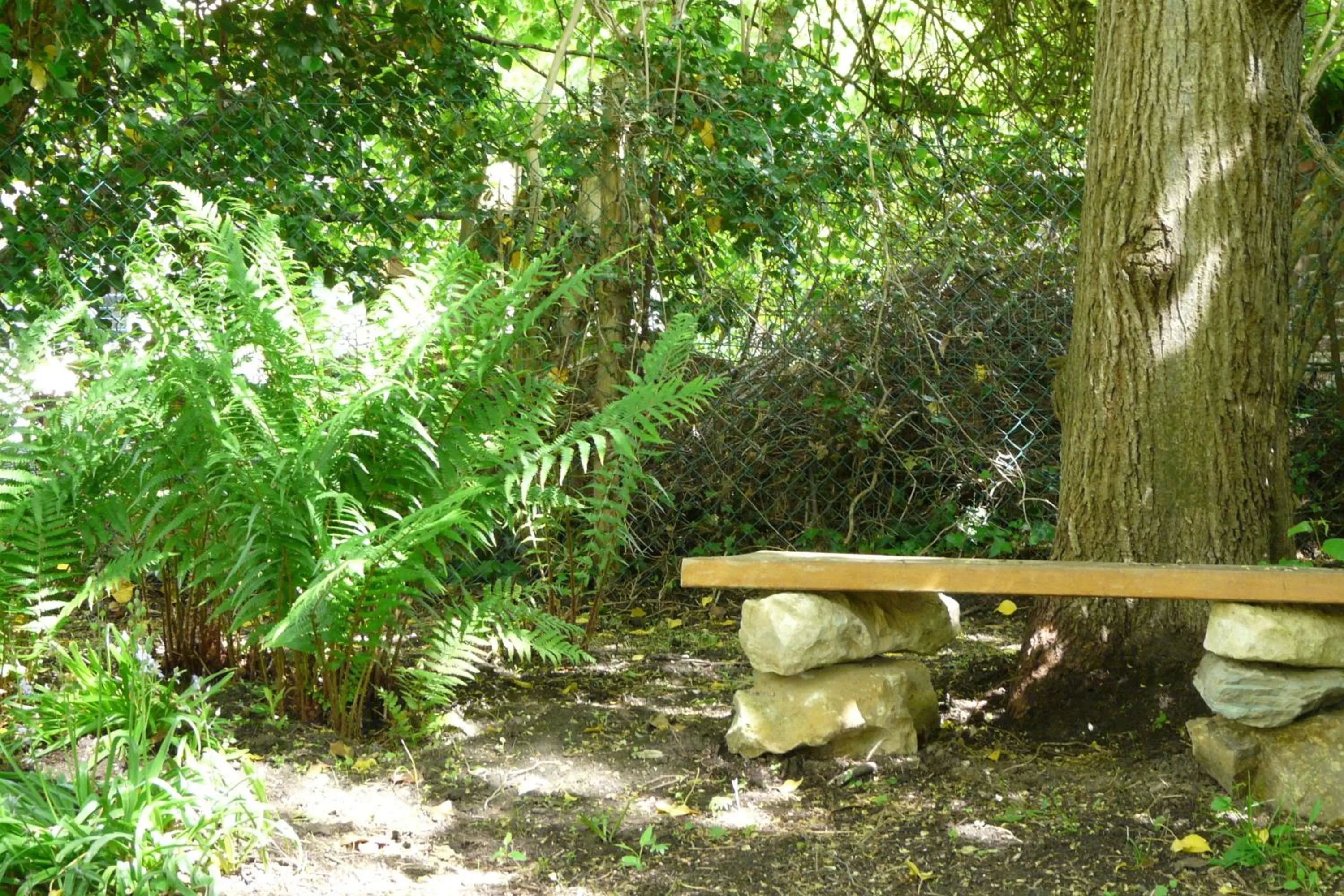 Garden view, Garden in B&B Le Valangré