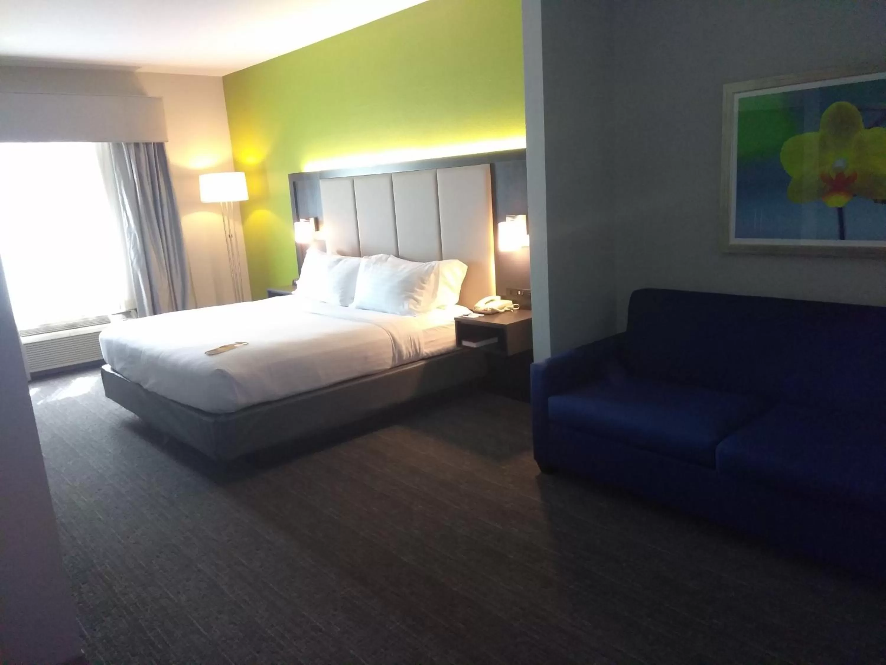 Photo of the whole room, Bed in Holiday Inn Express Pearland by IHG
