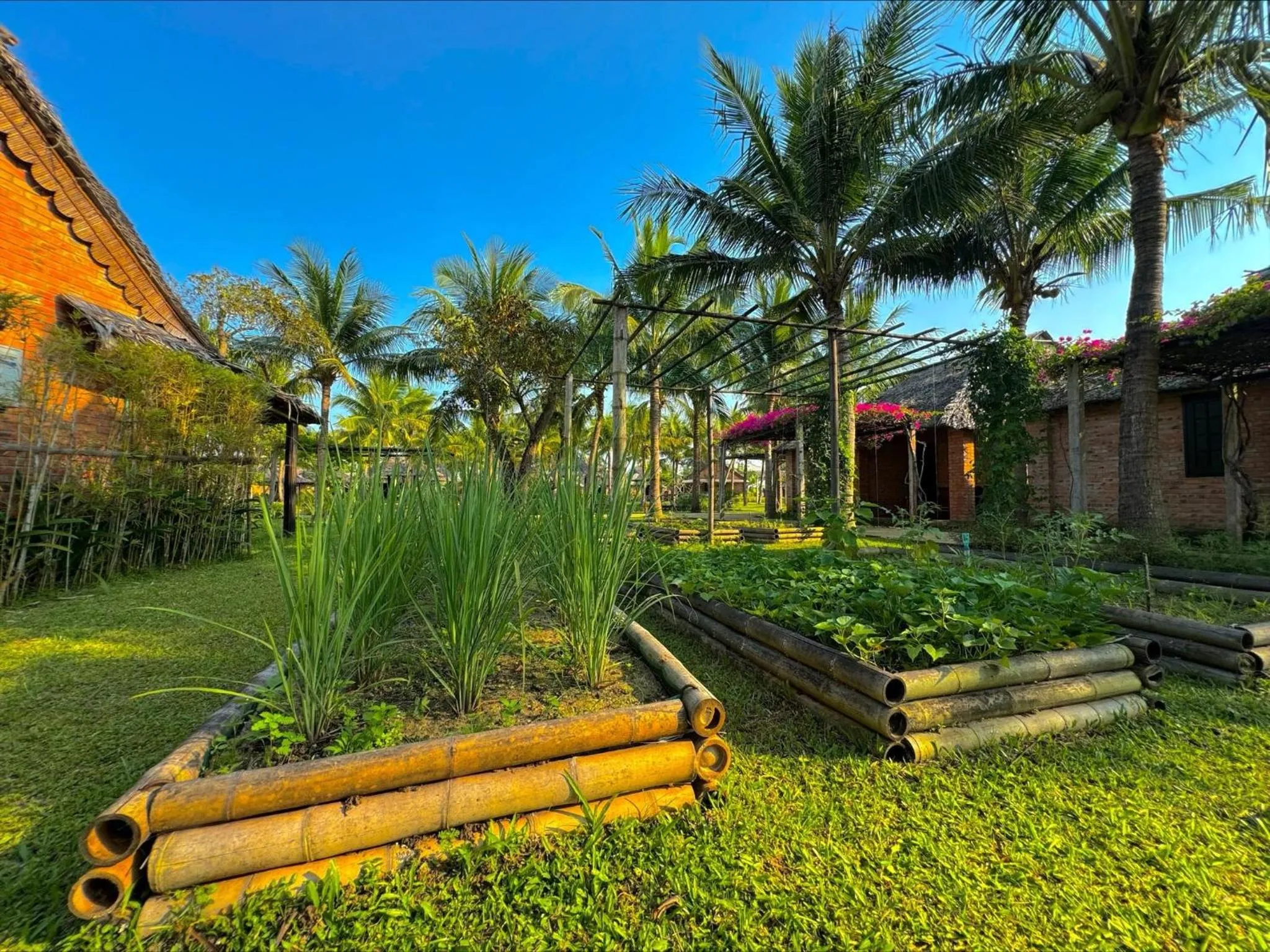 Property building in ENSO Retreat Hoi An - Rediscovery & Serenity