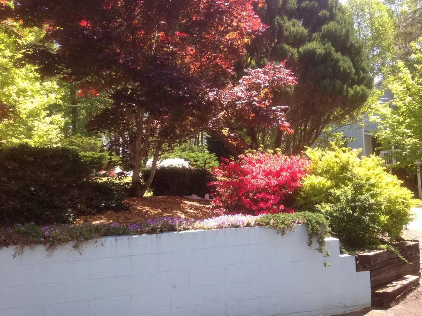 Deluxe Queen Room in Hidden Valley B&B Deluxe Queen Room in Hidden Valley B&B