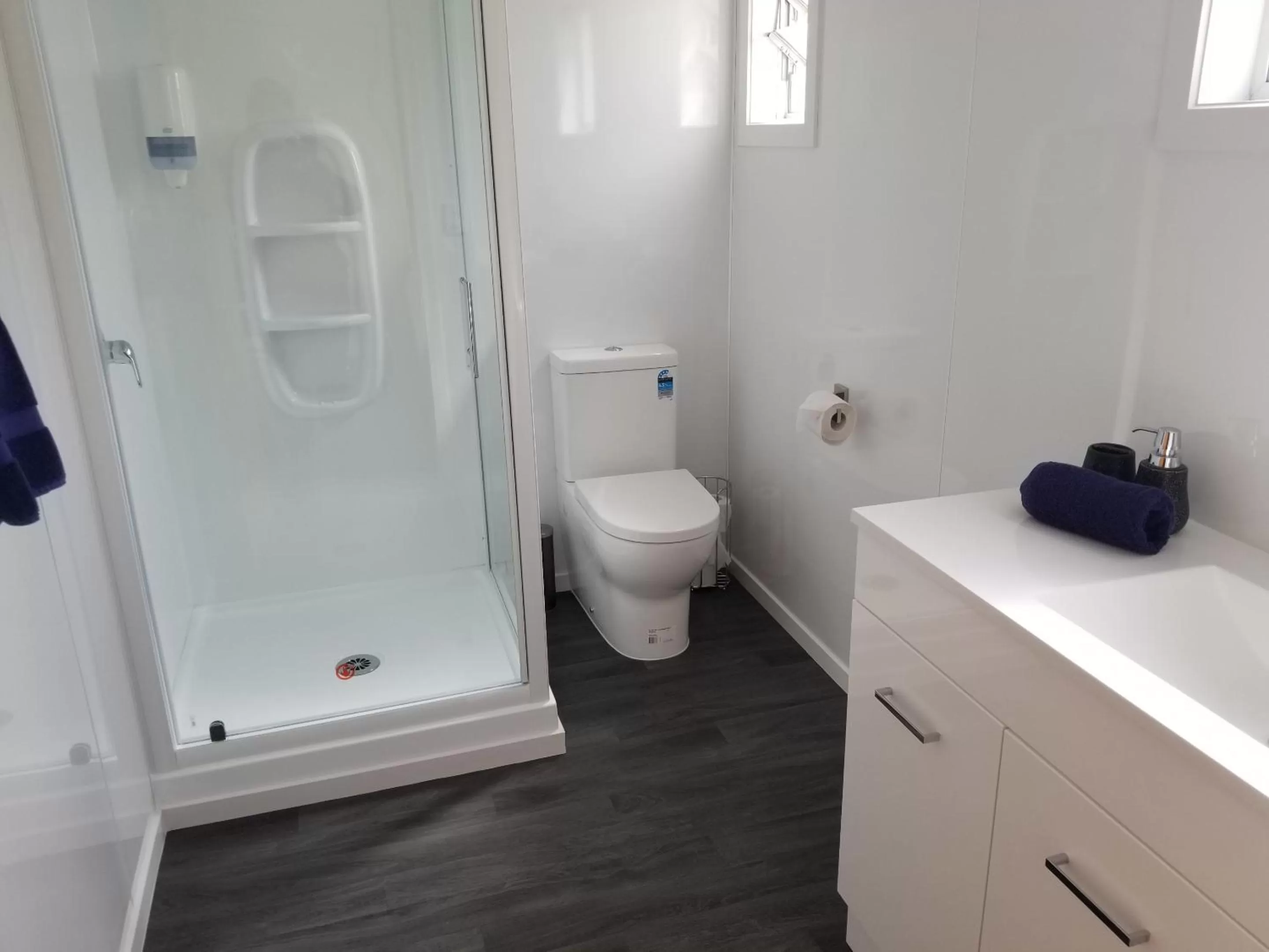 Shower in Alpine View Motel