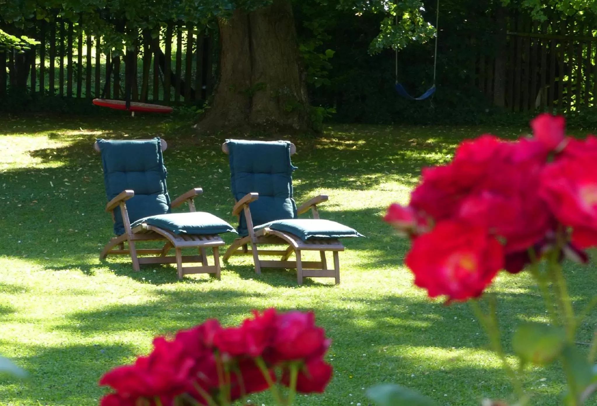 Garden in Bed and Breakfast unter den Linden