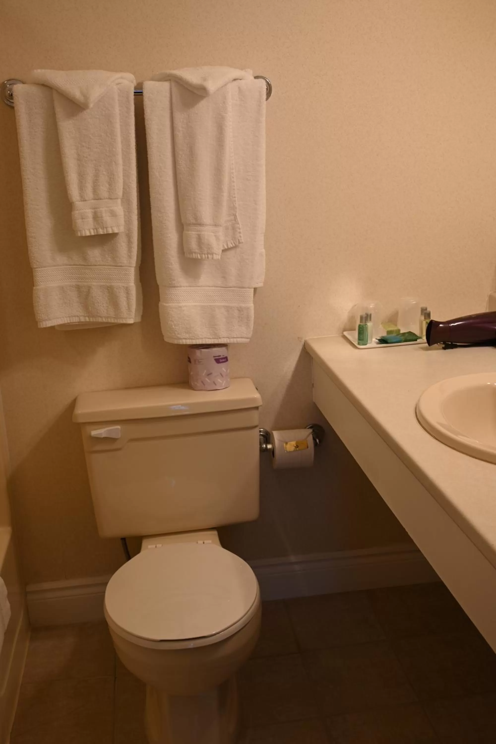 Bathroom in The Gananoque Inn