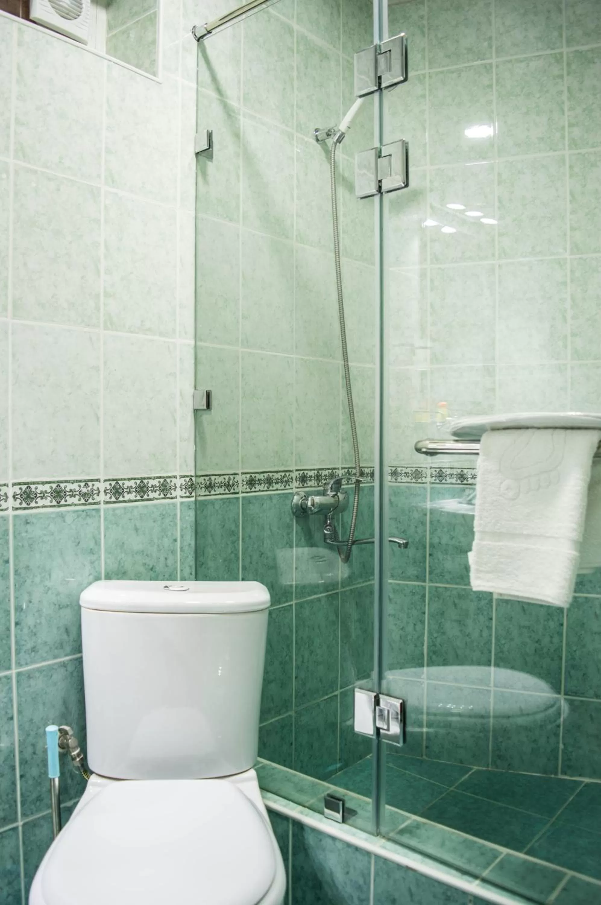 Shower, Bathroom in Jahongir Guest House