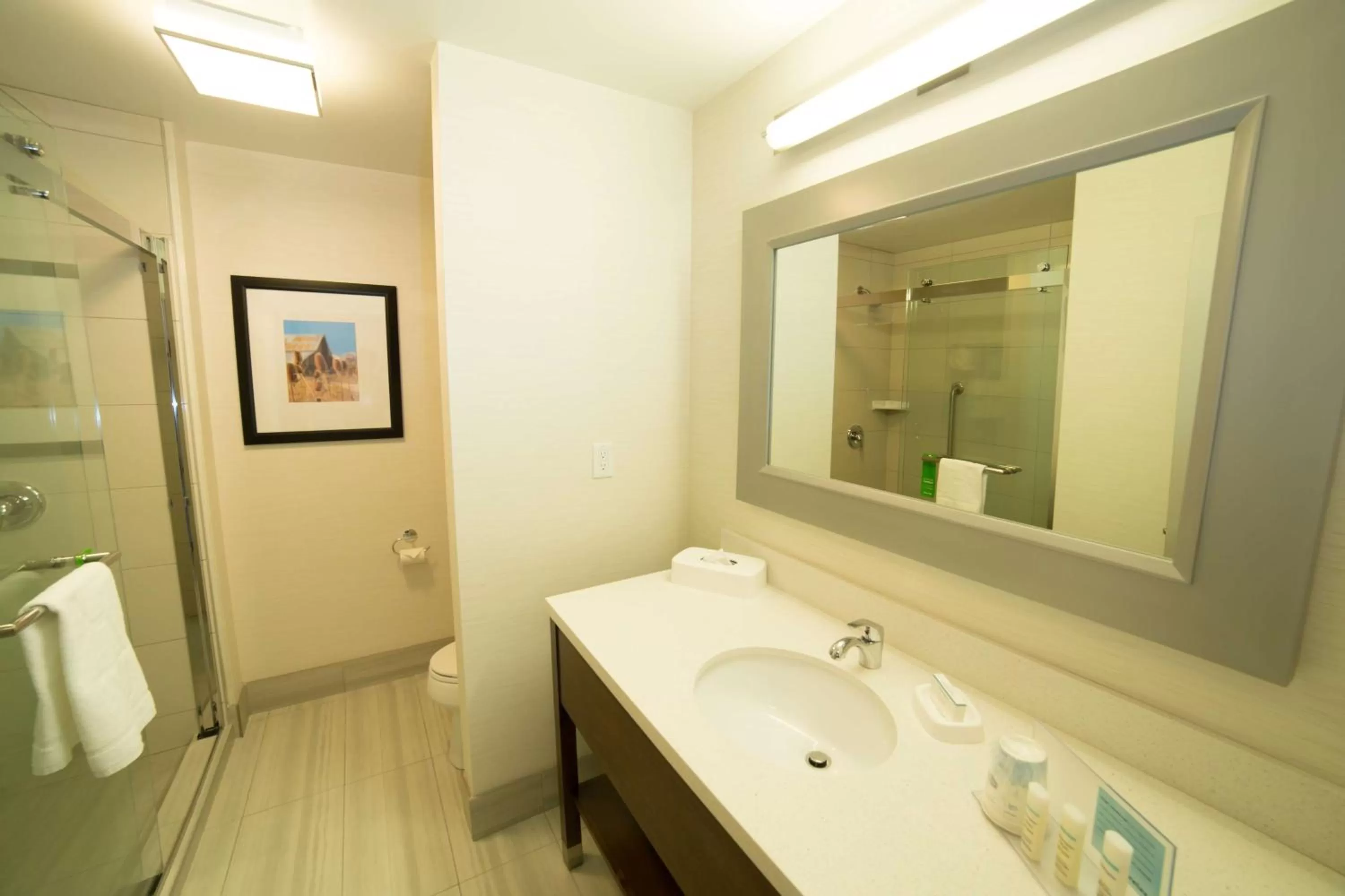 Bathroom in Hampton Inn by Hilton Lloydminster