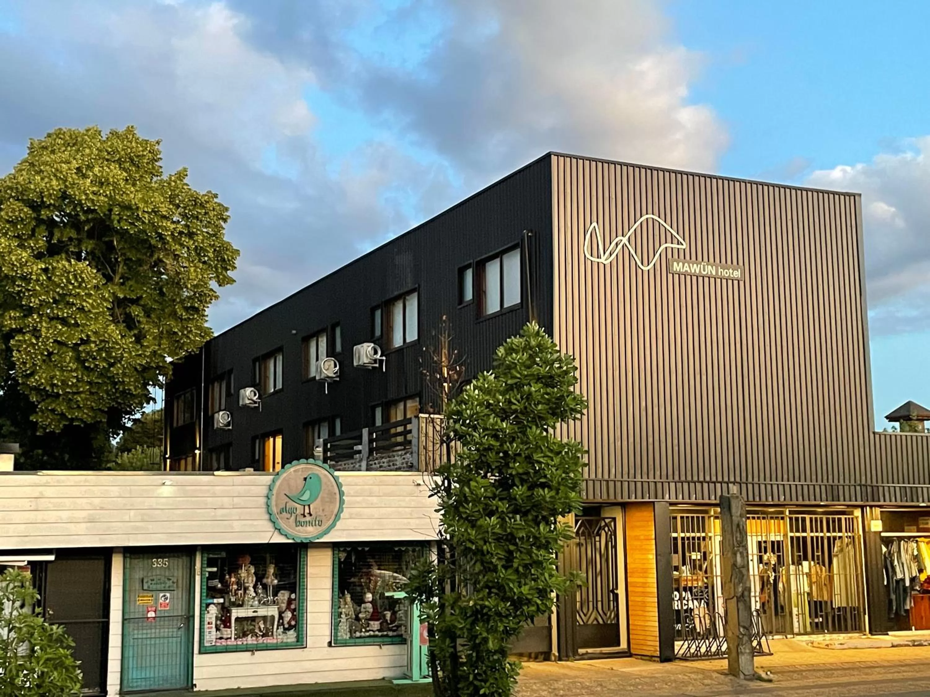 Property building in Mawün Hotel Pucón